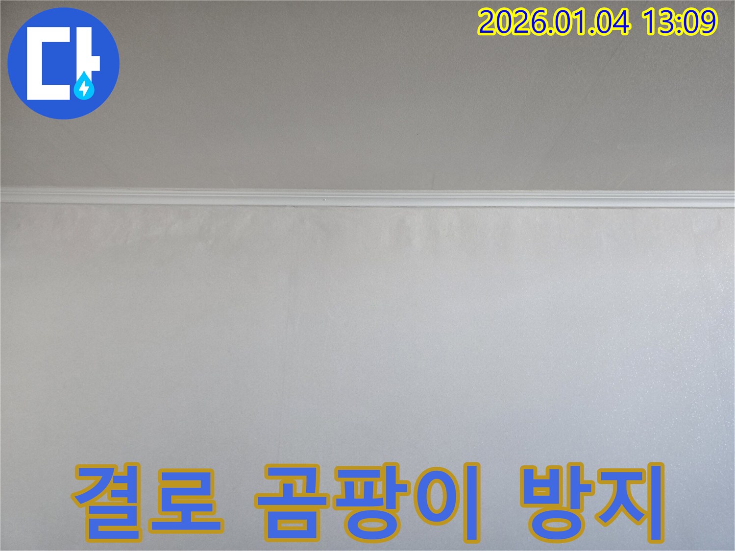 결로 현상 - 곰팡이 방지 - 독서당로 누수
