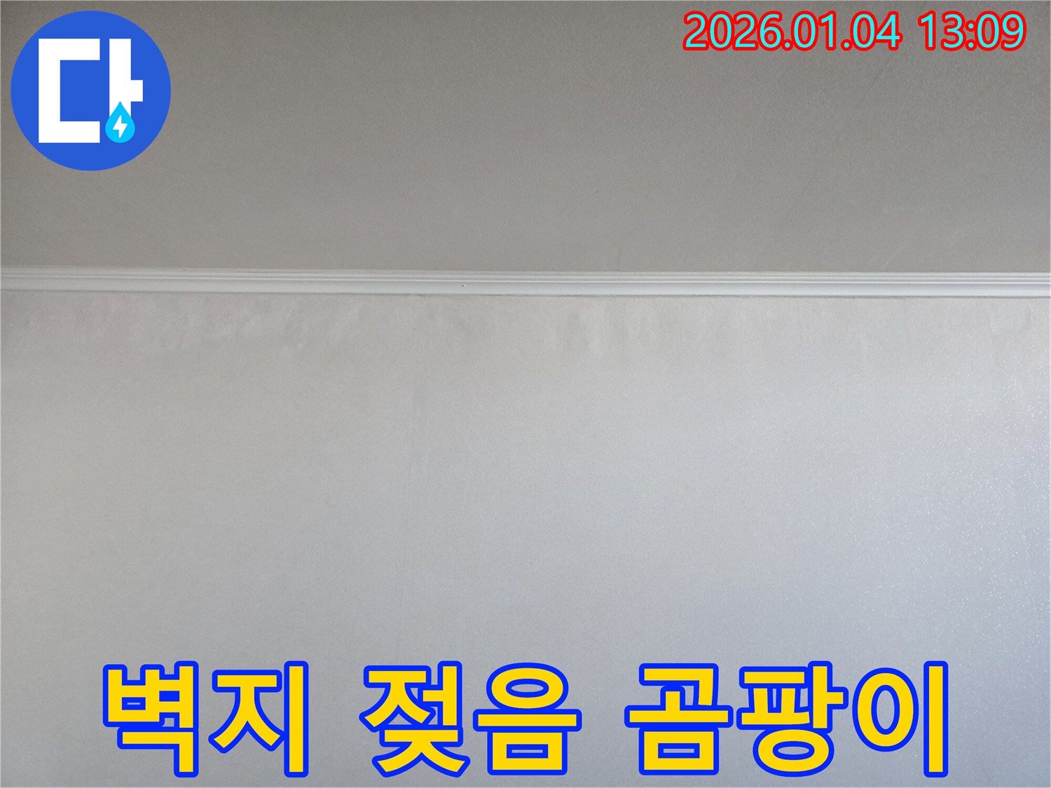 벽지 젖음 - 곰팡이 초기 - 금호동 누수탐지