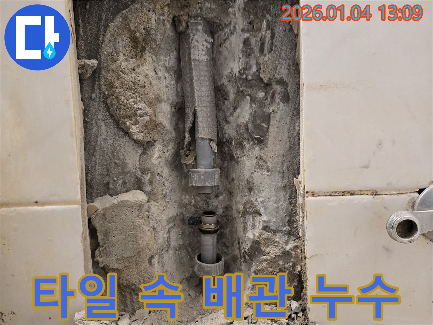 성동구 성수동 - 깨진 타일 속 노후 배관 누수 발견