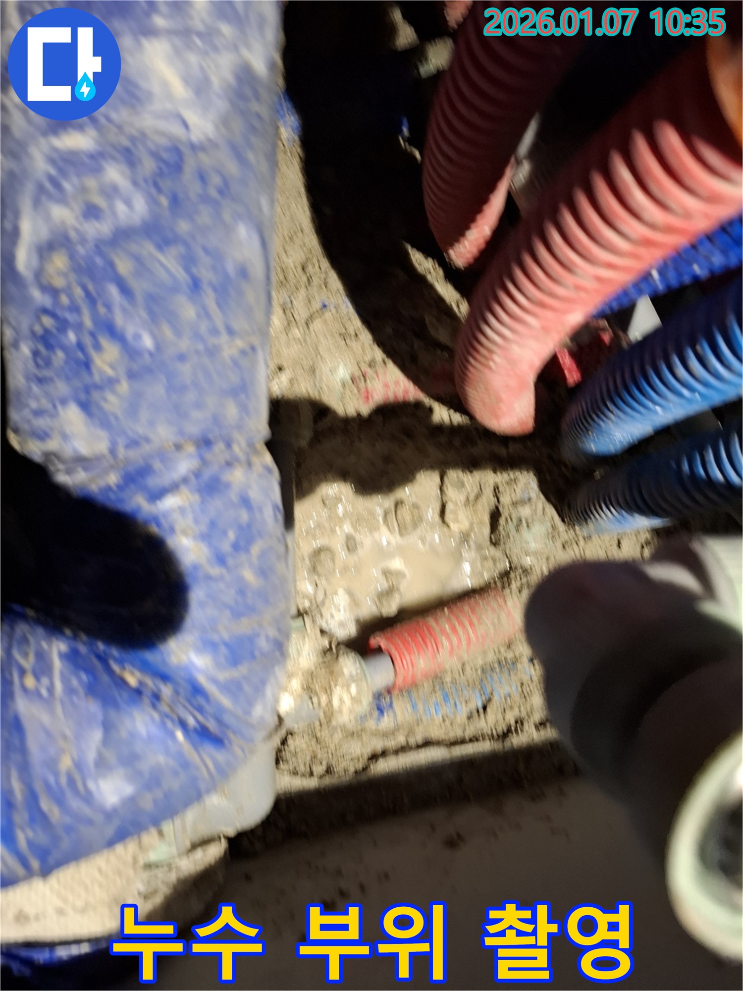 용인시 처인구 모현 누수 현장 - 누수 부위 정밀 촬영