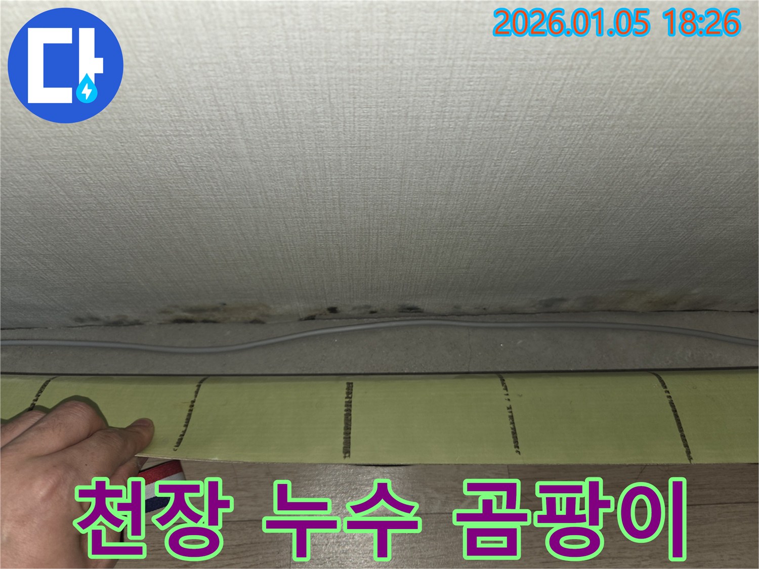 남양주 진건 천장 누수 - 곰팡이 발생 및 건강 문제 우려