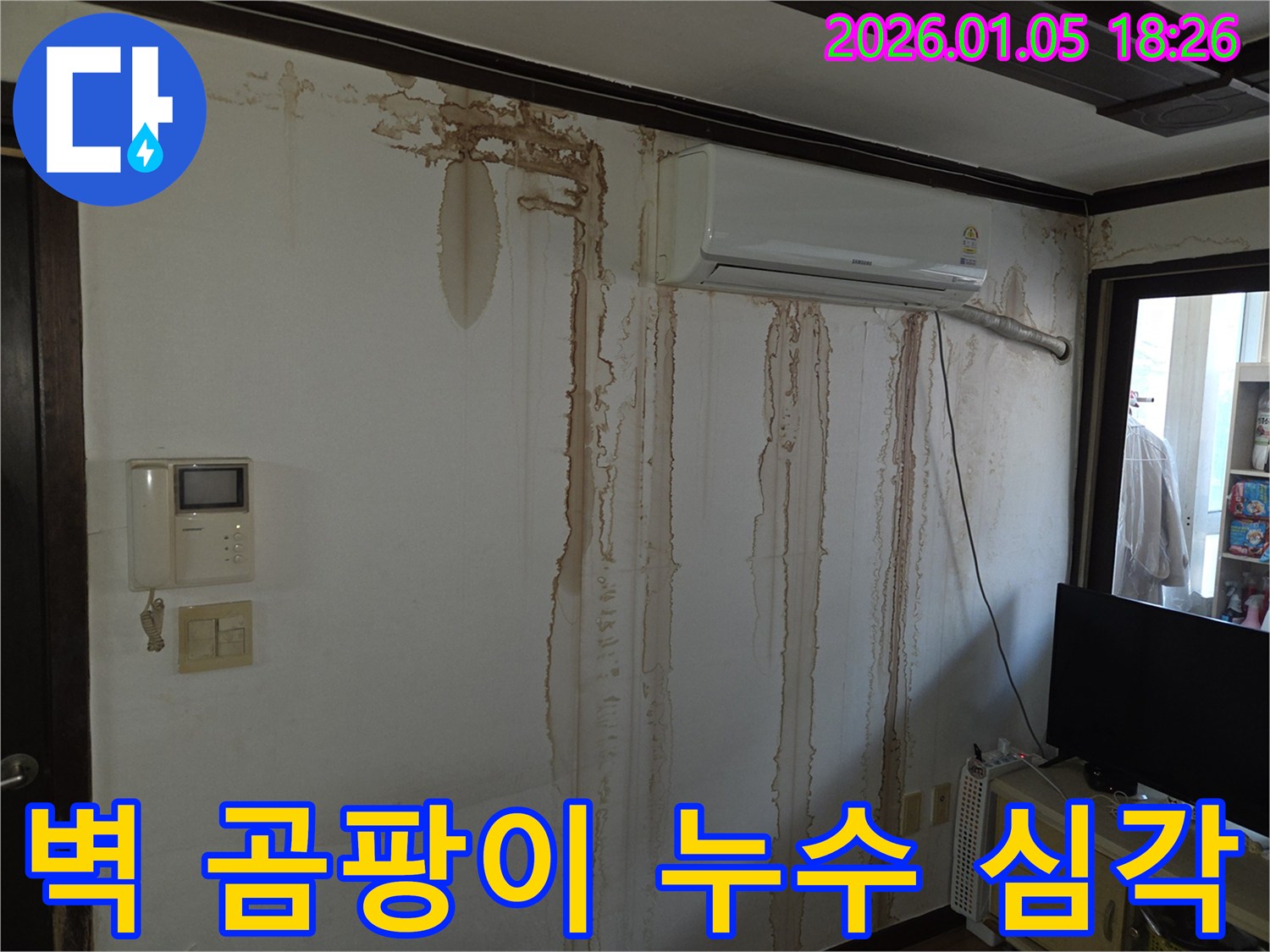 벽에 곰팡이가 심각하게 핀 누수 상황 - 누수 해결과 곰팡이 제거가 시급합니다.