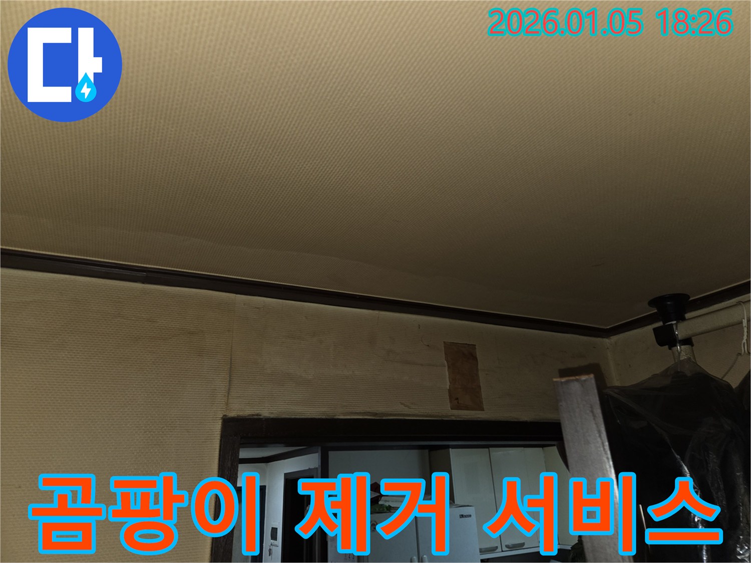진건읍 천장 누수 곰팡이 제거 서비스 - 깨끗한 환경