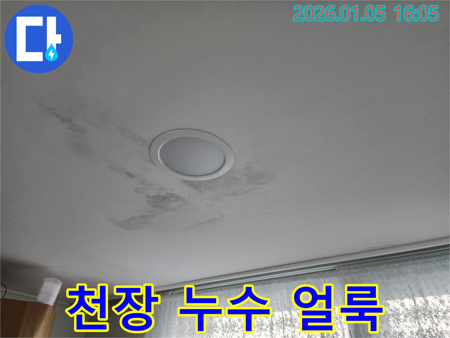 노원구 천장 누수 - 누수 얼룩과 곰팡이