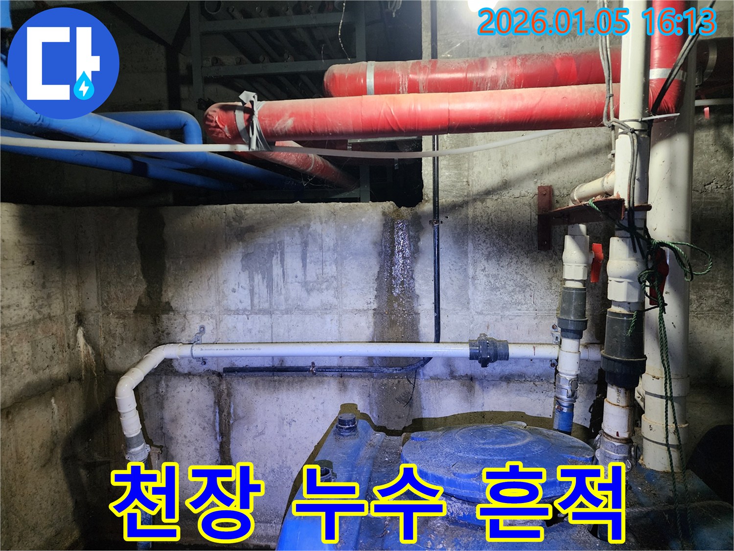 천장 누수 흔적 - 천장에 생긴 물 얼룩과 곰팡이