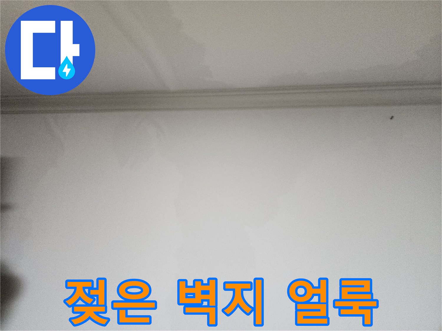 천장-가까운-벽면의-축축하게-젖은-얼룩