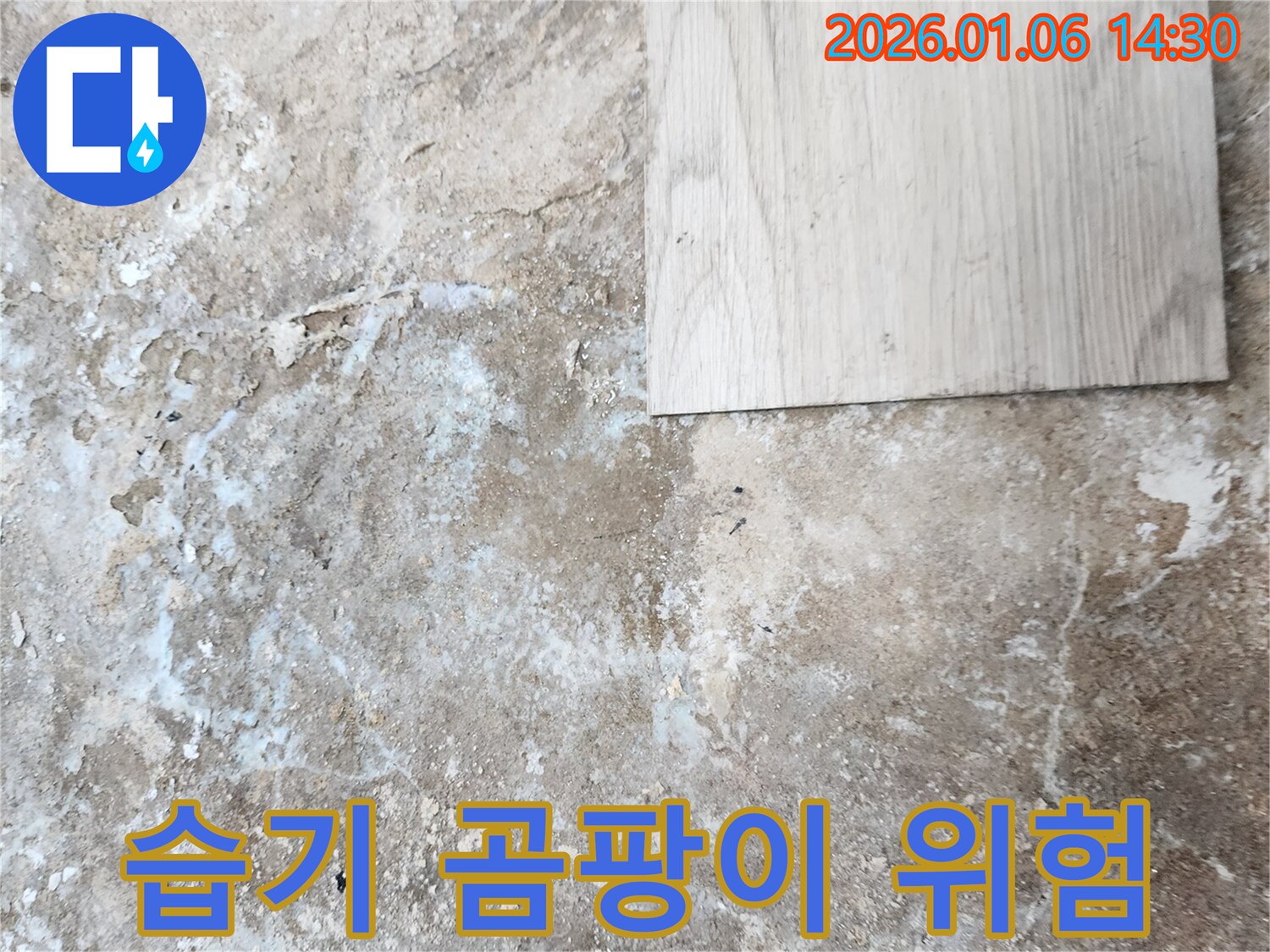동두천 누수 - 장판 밑 습기, 곰팡이 번식 위험 경고