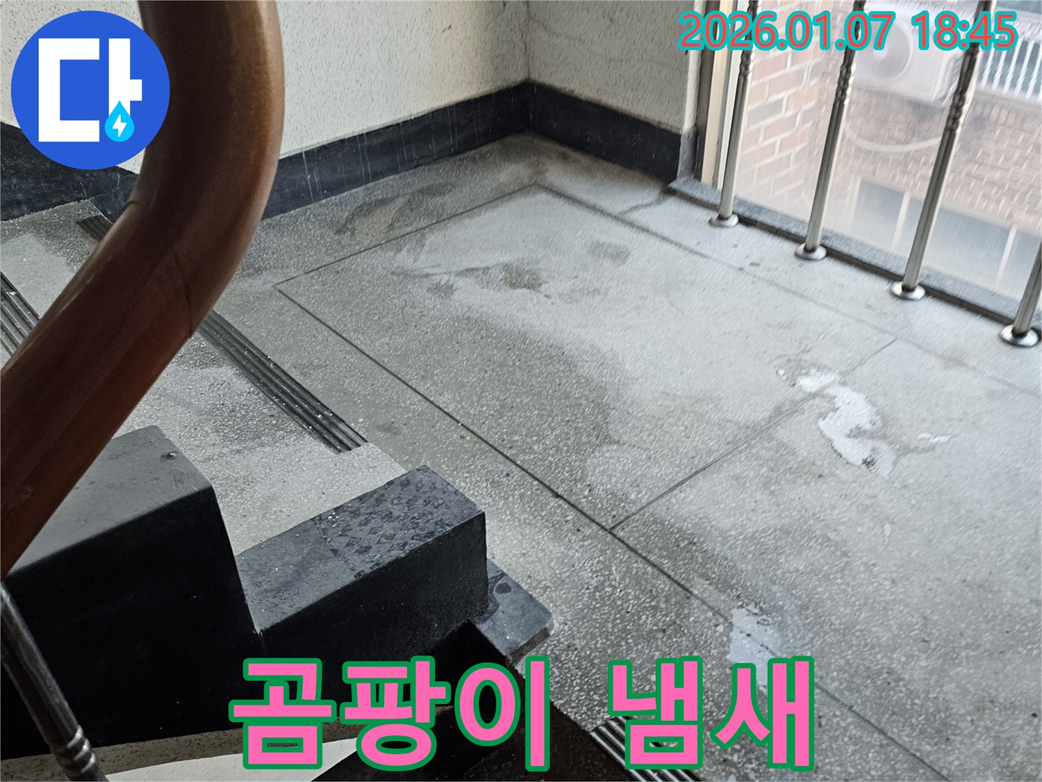 계단 곰팡이 냄새 - 건강 위협 - 냄새 제거