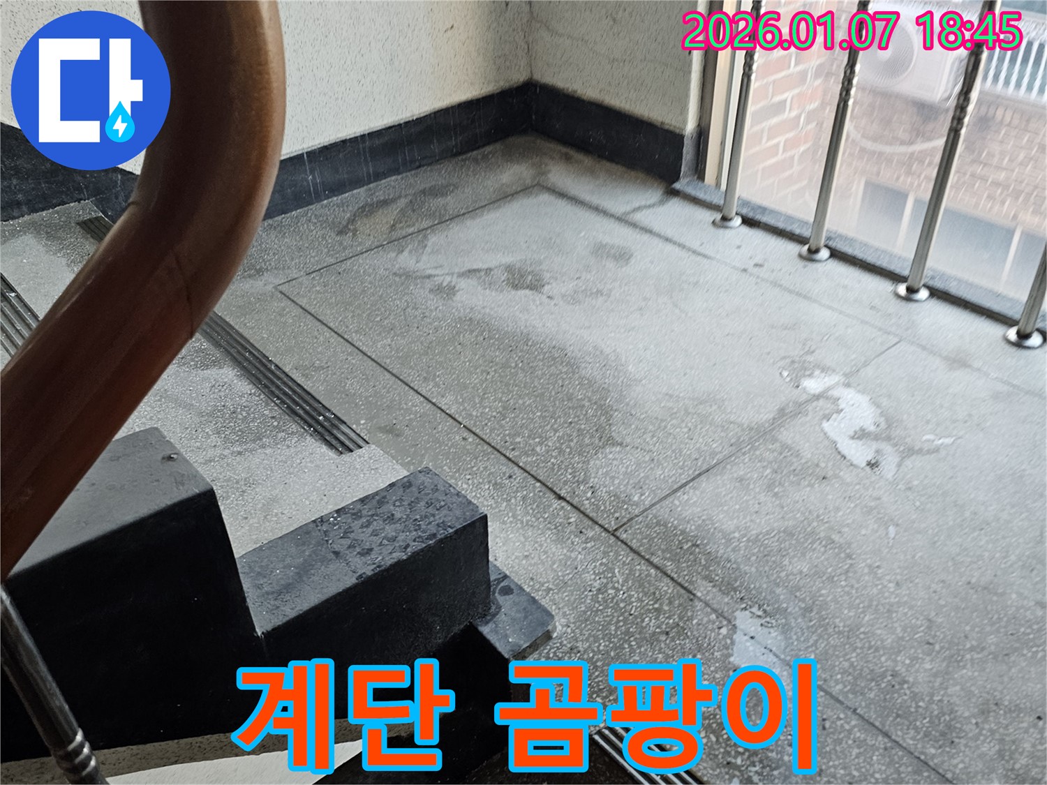 계단 곰팡이 - 습기 제거 및 환기 필요