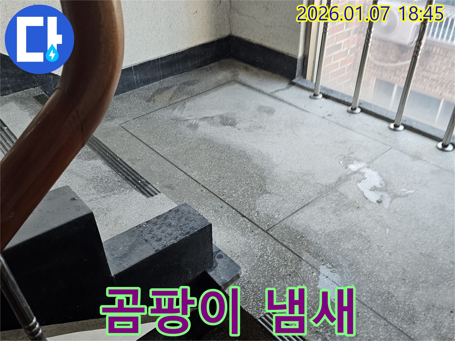 곰팡이 냄새 - 건강 위협 - 냄새 제거