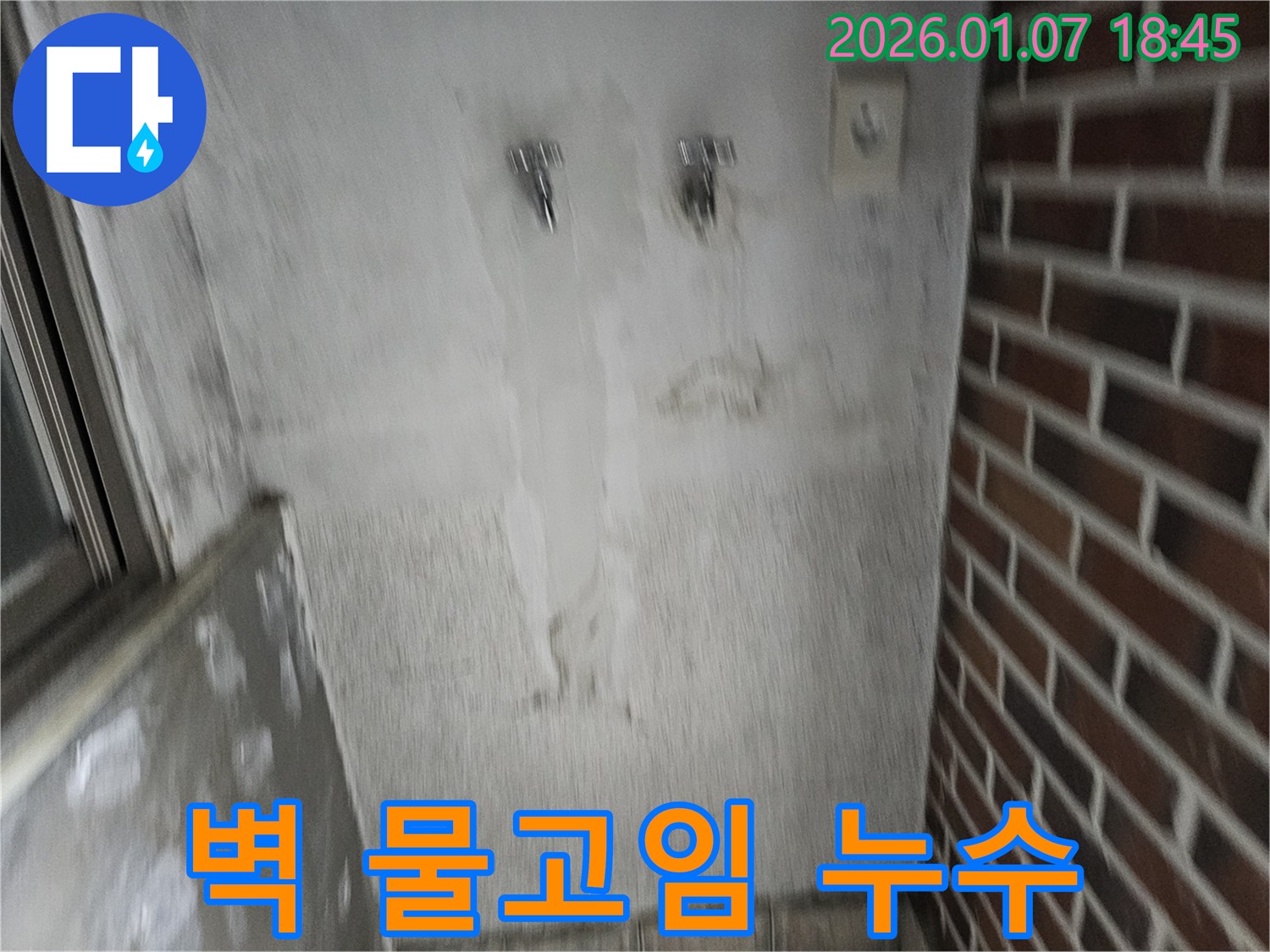벽에 물 고임 - 긴급 진단 필수!
