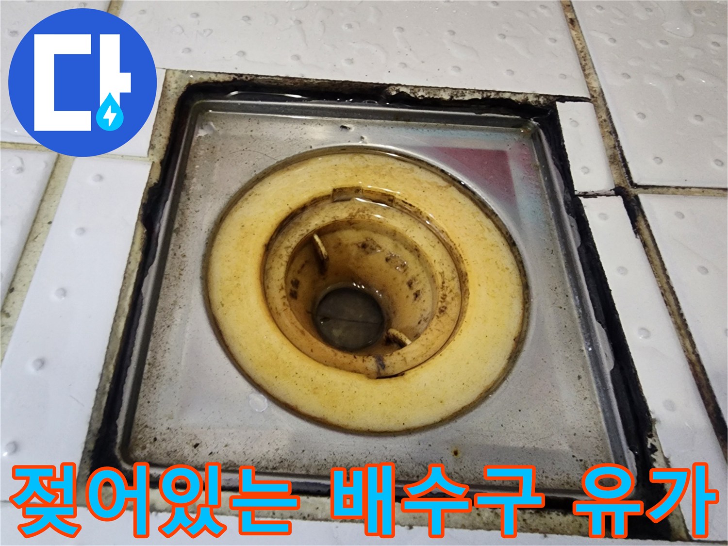 배수구-트랩-주변의-축축한-습기-상태
