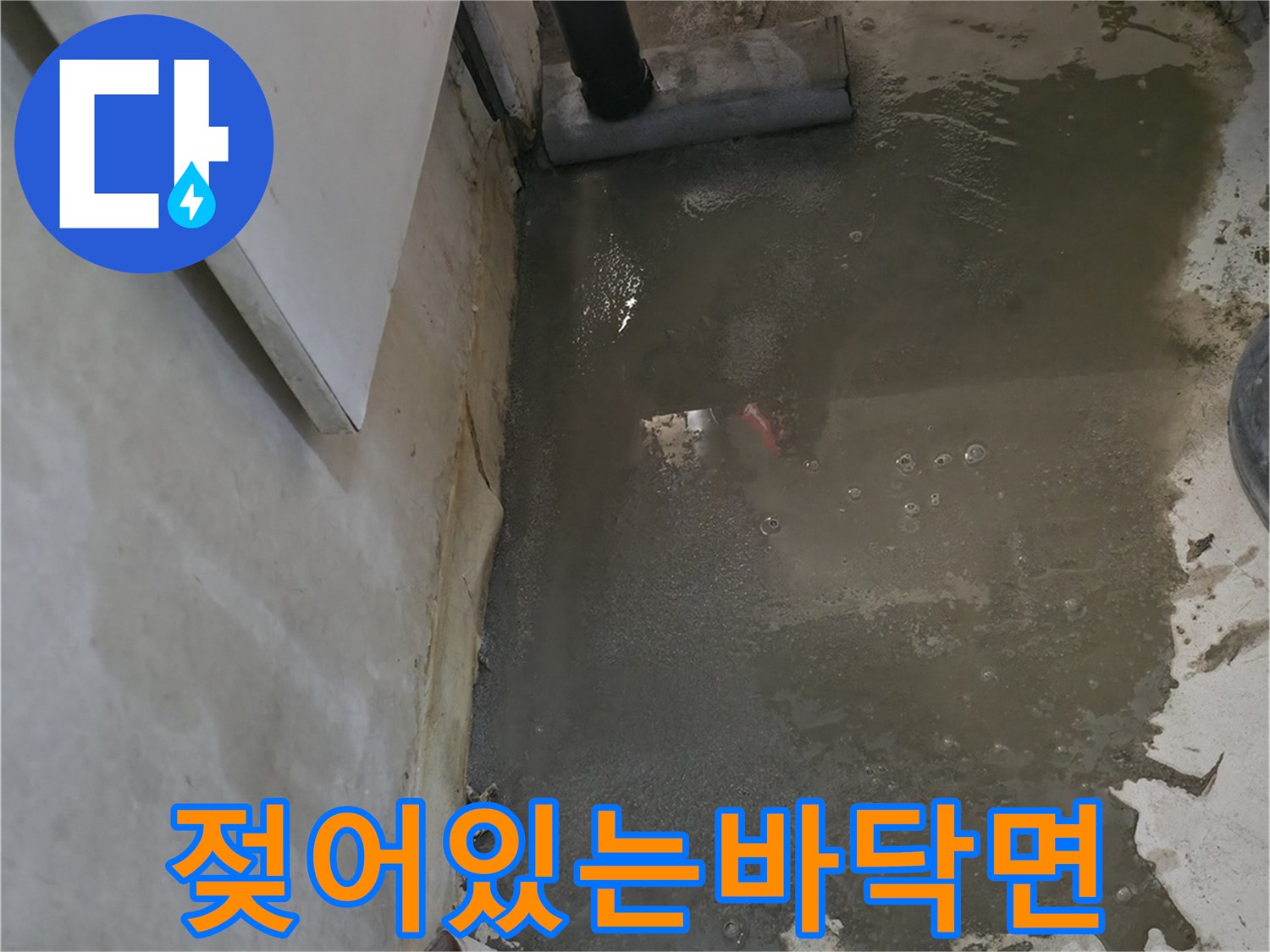 송파구-현관-장판-아래-습기-머금은-상태