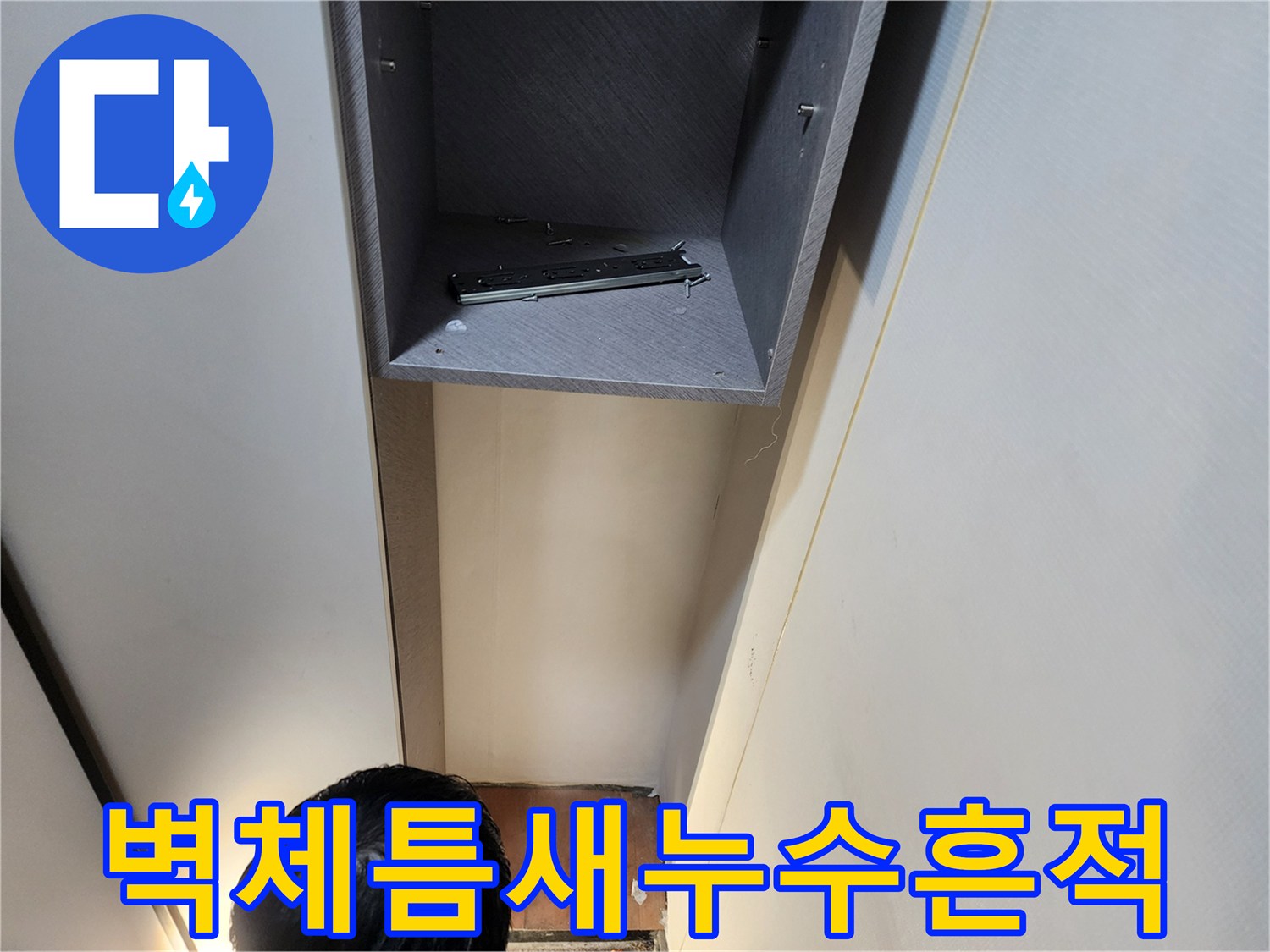 의정부동-벽체사이-물기어린-모습