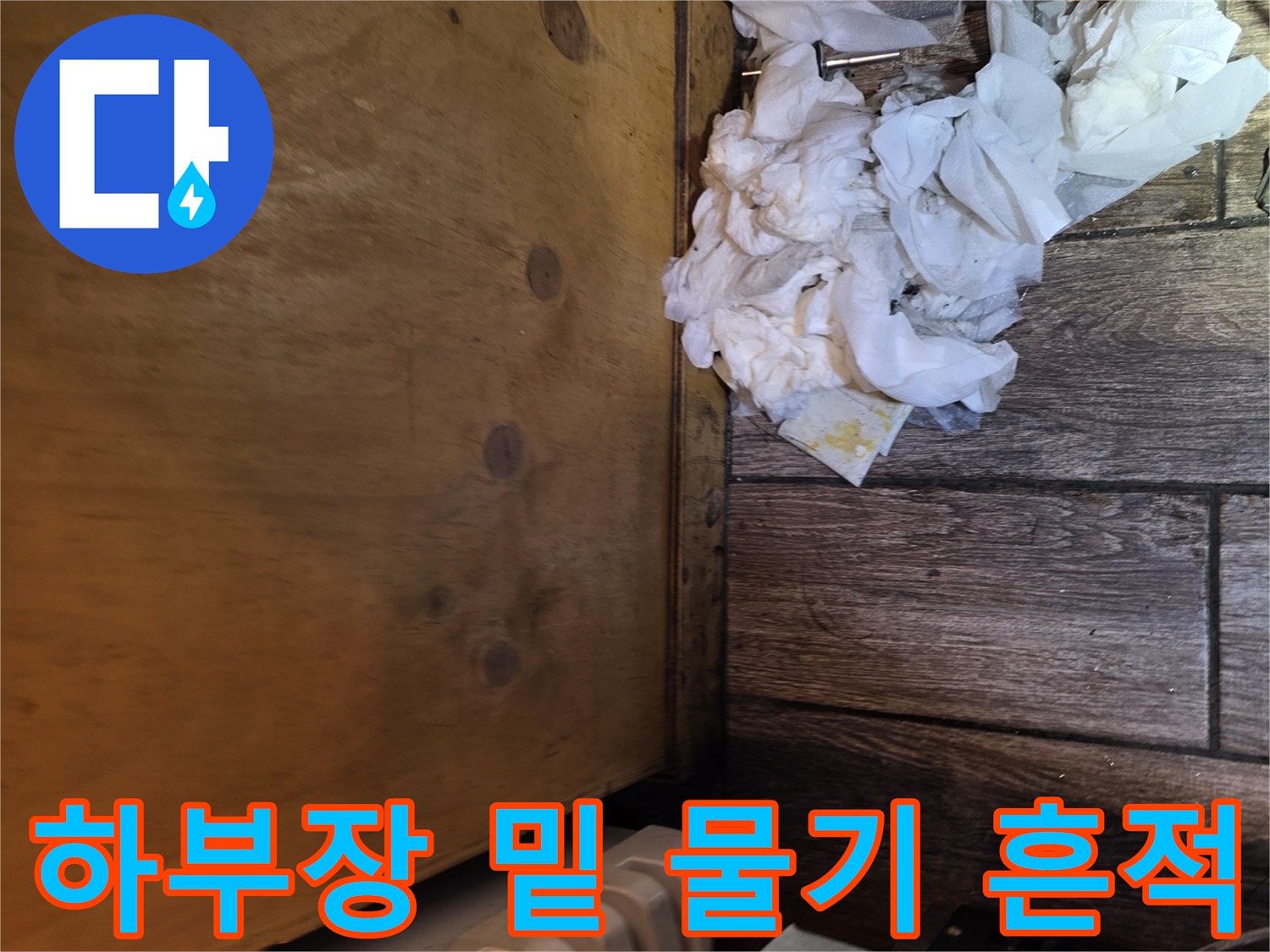 식당 하부장 바닥-물이 스며든 종이 조각들
