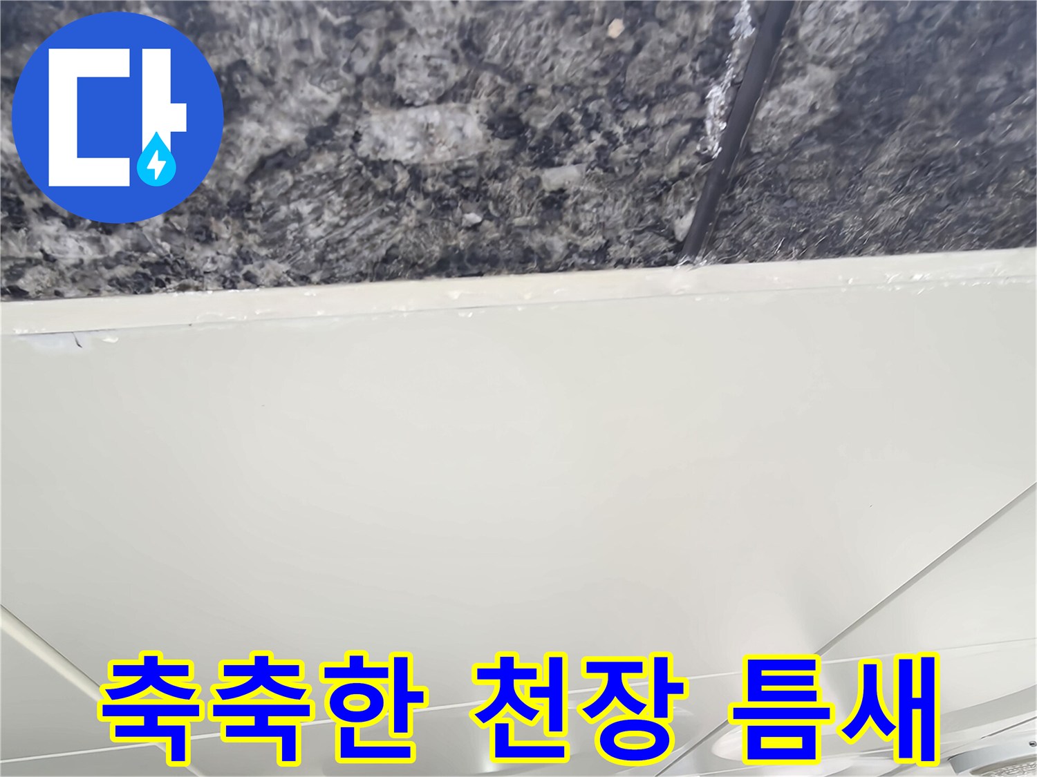 천장재 사이의-습윤된 콘크리트 표면