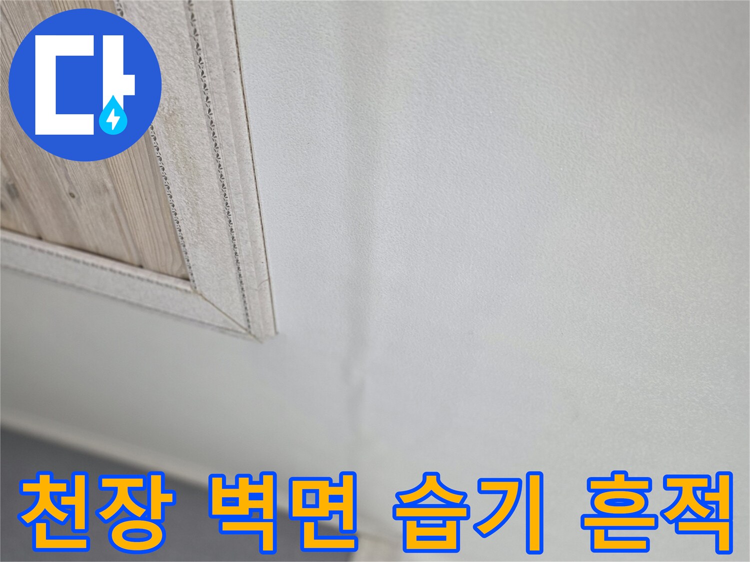 벽지-상단부의-습윤한-상태-관찰