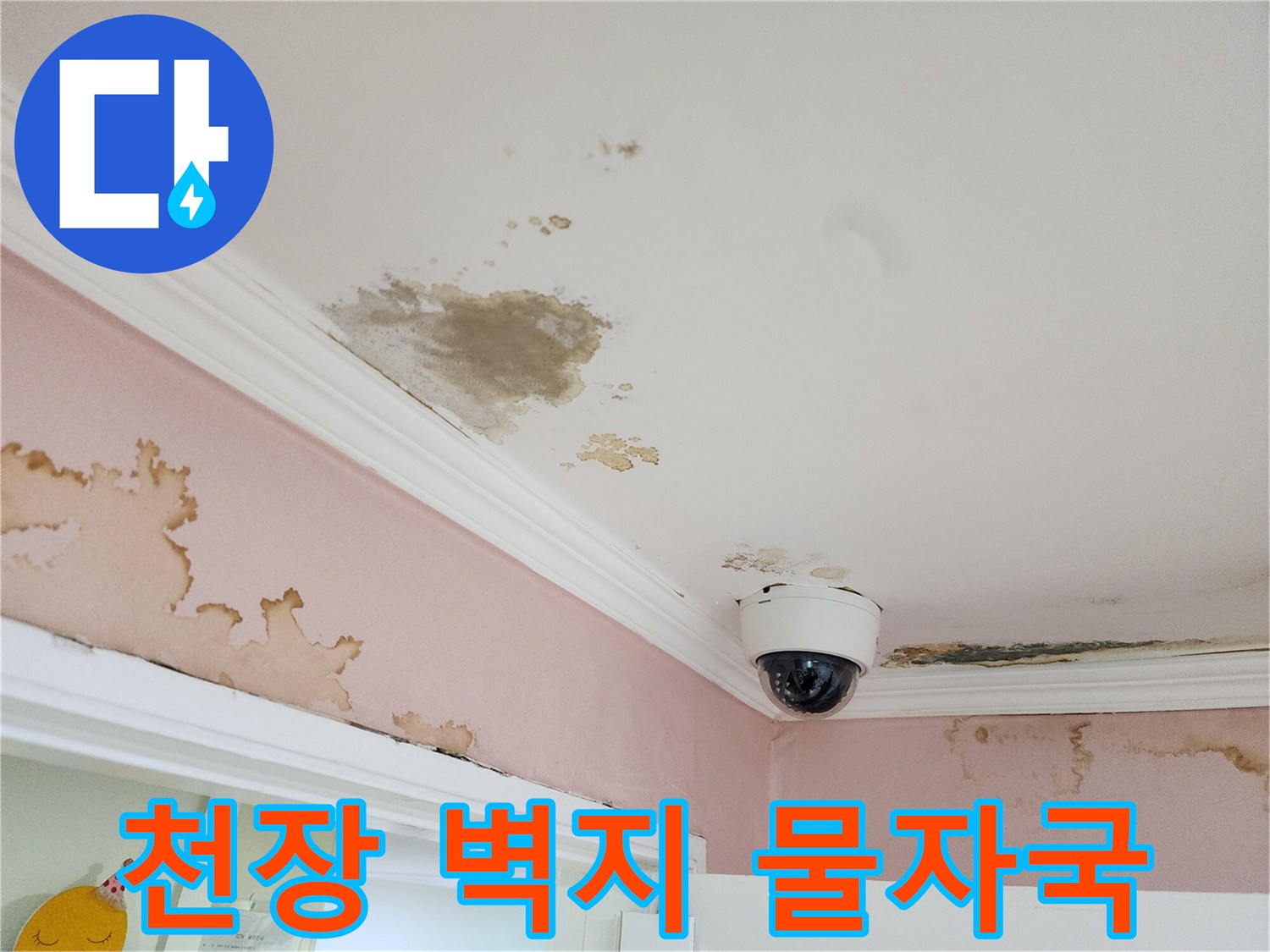 아래층 천장-벽지 변색 및 곰팡이 발생 부위