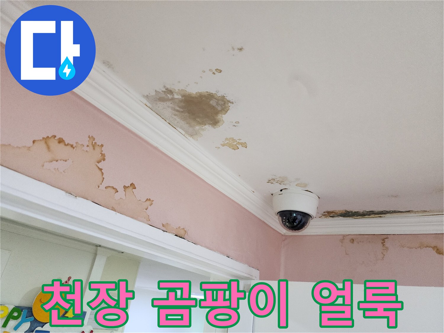 천장 몰딩 주변의 곰팡이와 습기로 인한 벽지 오염