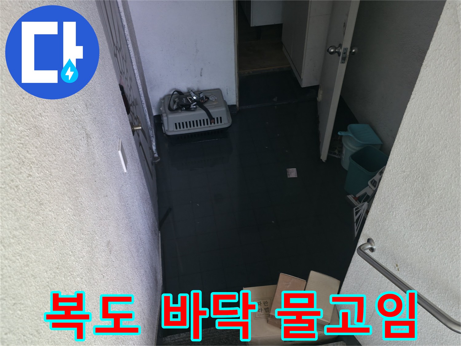 강북구-반지하-복도-바닥에-오수가-차오른-상태입니다