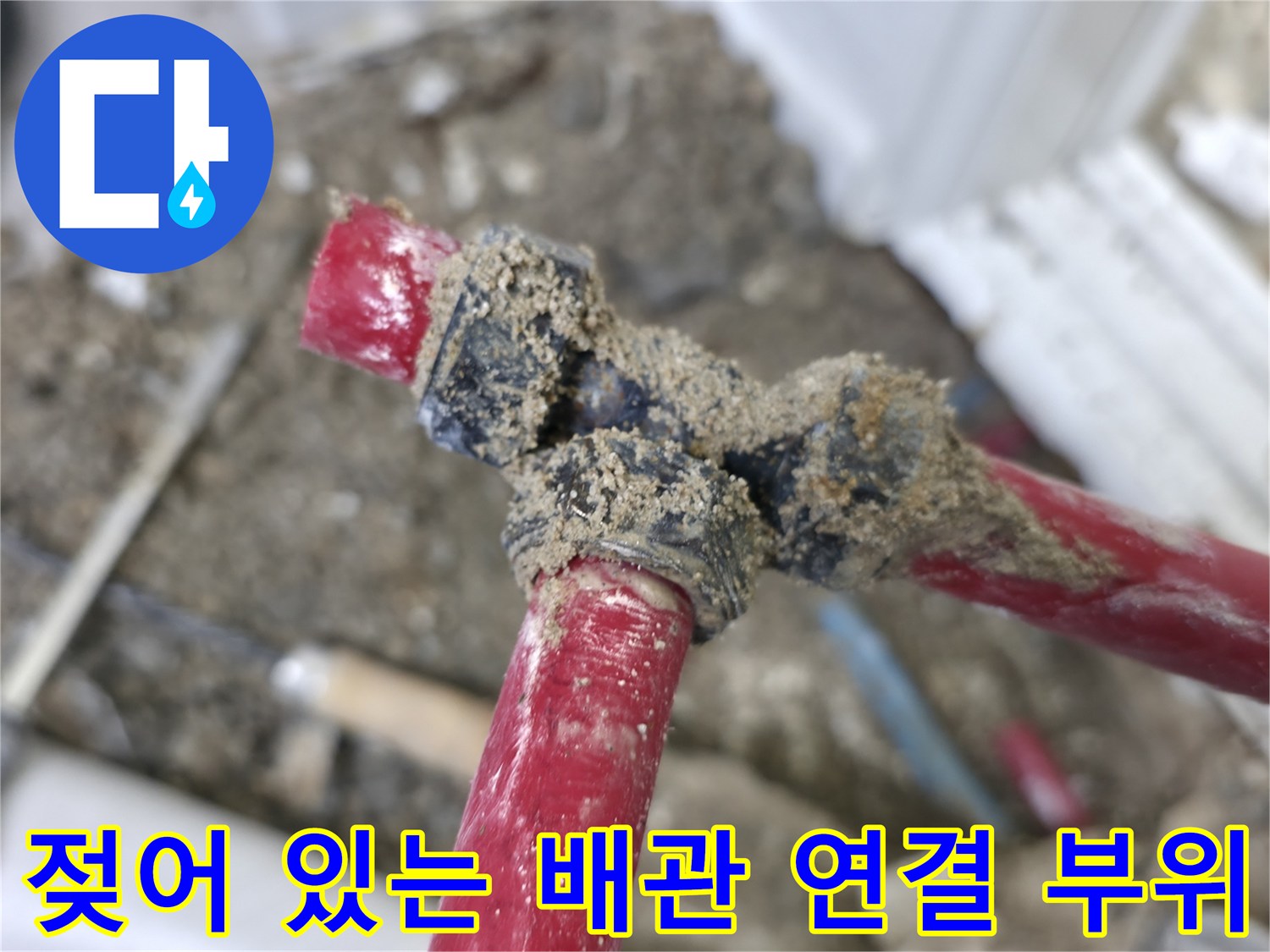 배관 분기점 주변의 젖은 흙과 누수 흔적