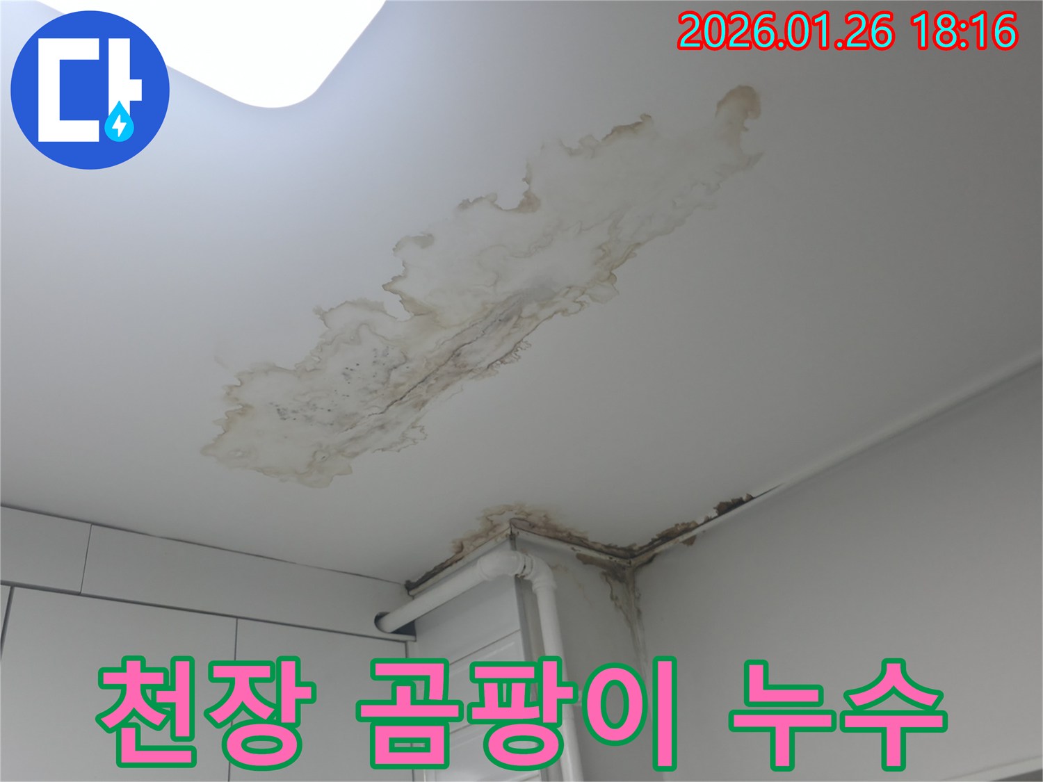 중계동 아파트 천장 누수-곰팡이 발생 전 신속한 누수 해결