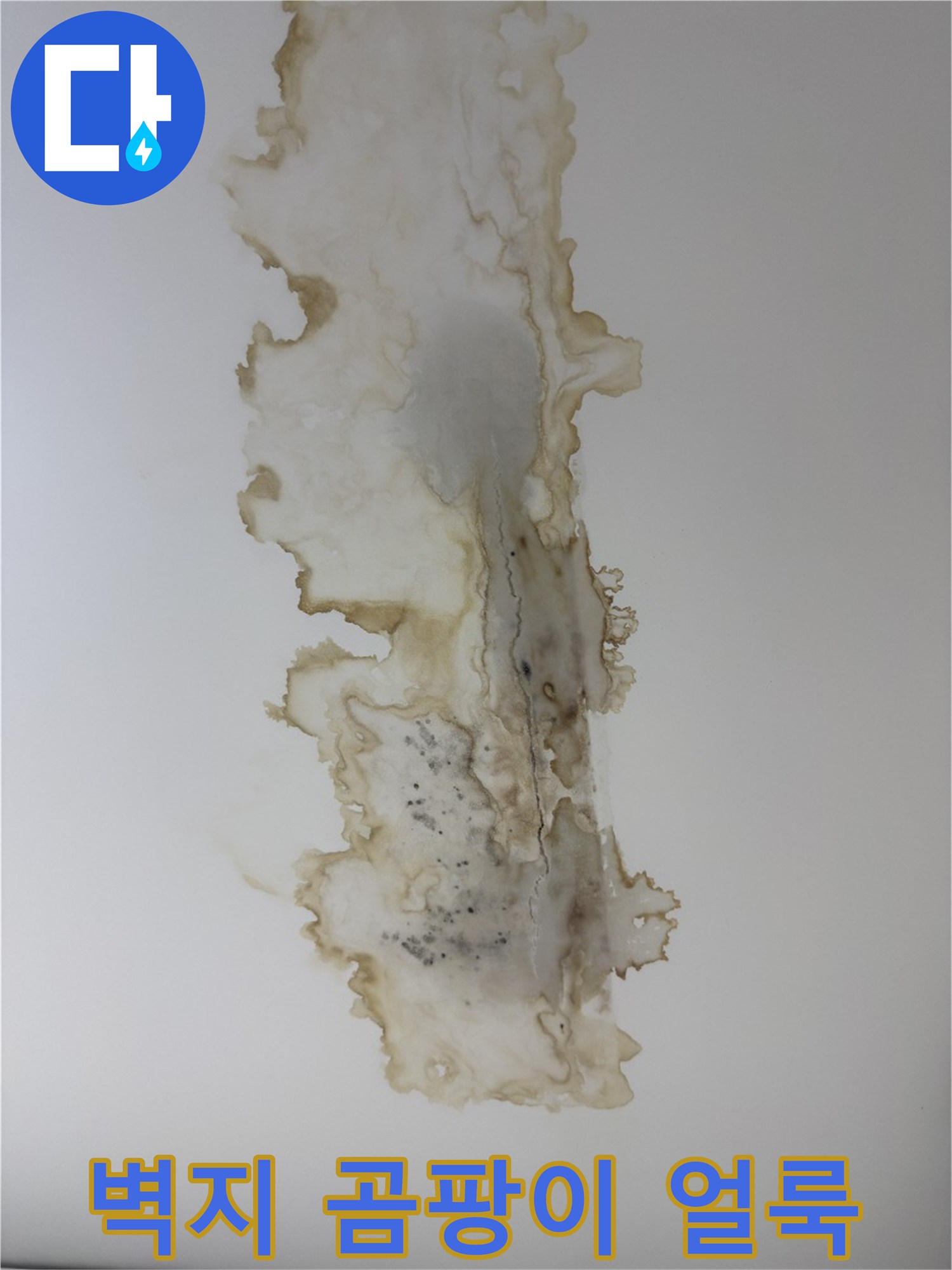 중계동 현장-벽지 내부 곰팡이 및 습기 침투 흔적