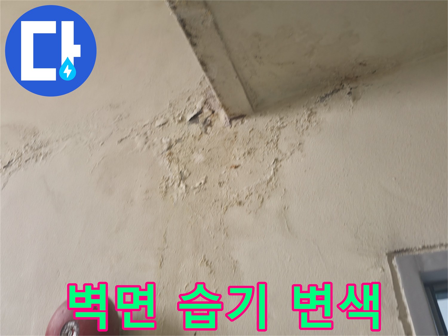천장 모서리 부근의 젖은 벽지 및 오염 상태