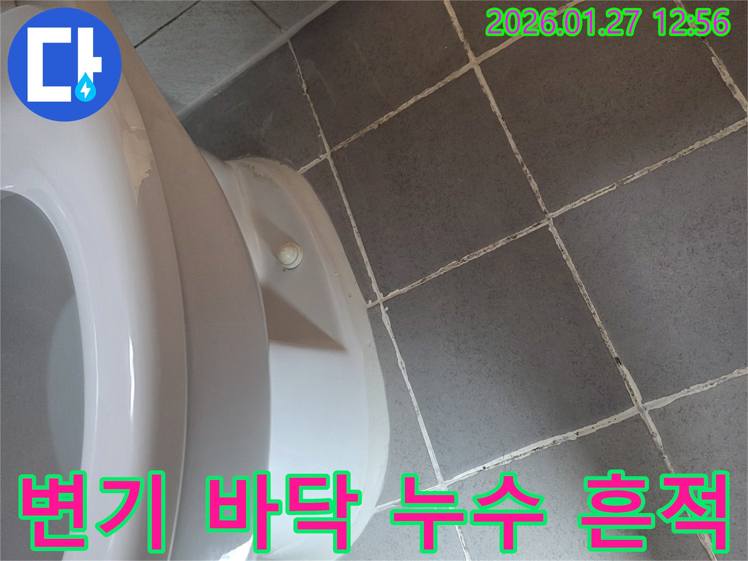 변기 바닥 타일 틈새에-누수로 인한 물기 흔적이 보입니다.