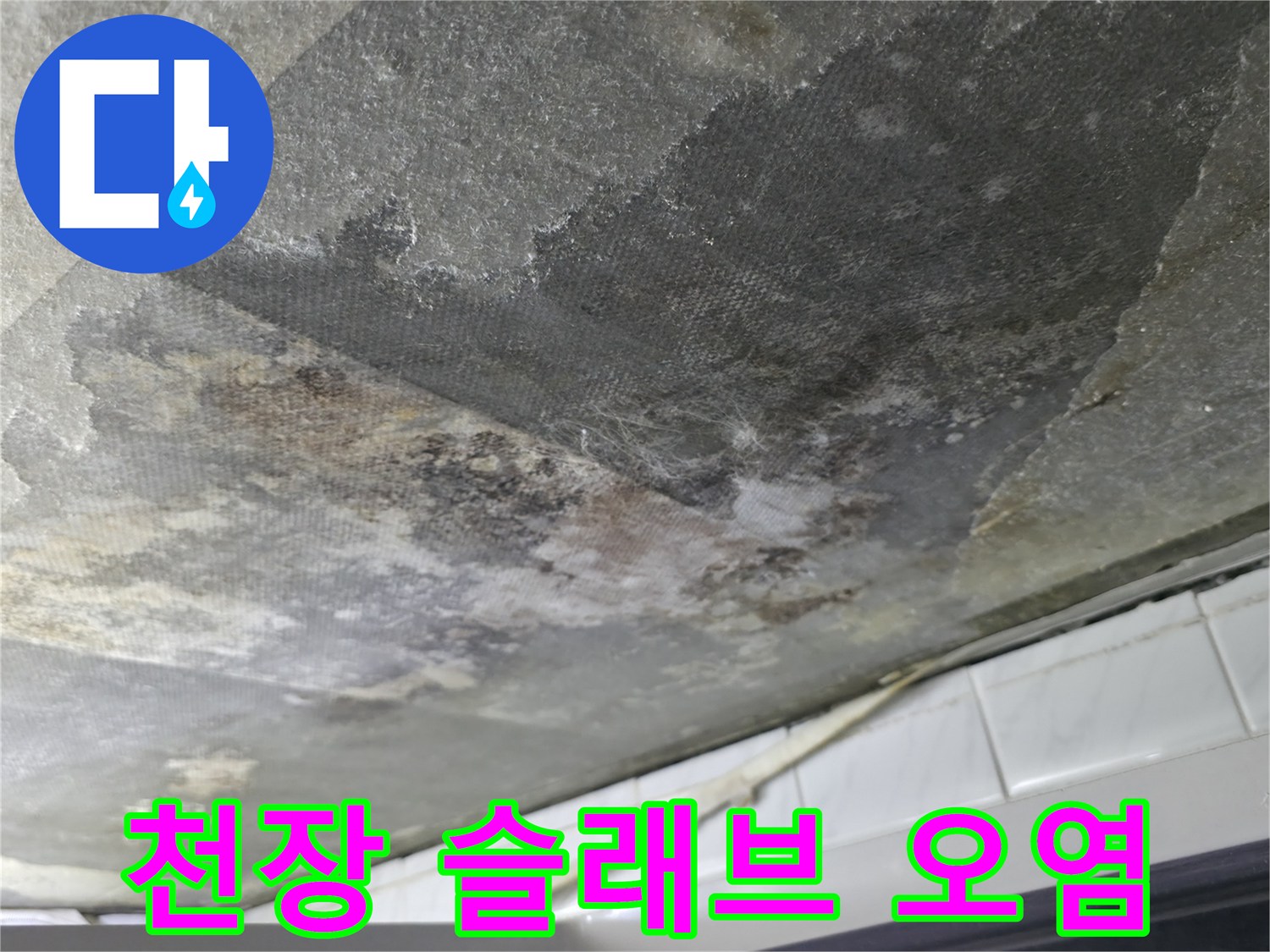 누수가 진행된 천장-습기와 곰팡이로 오염된 콘크리트