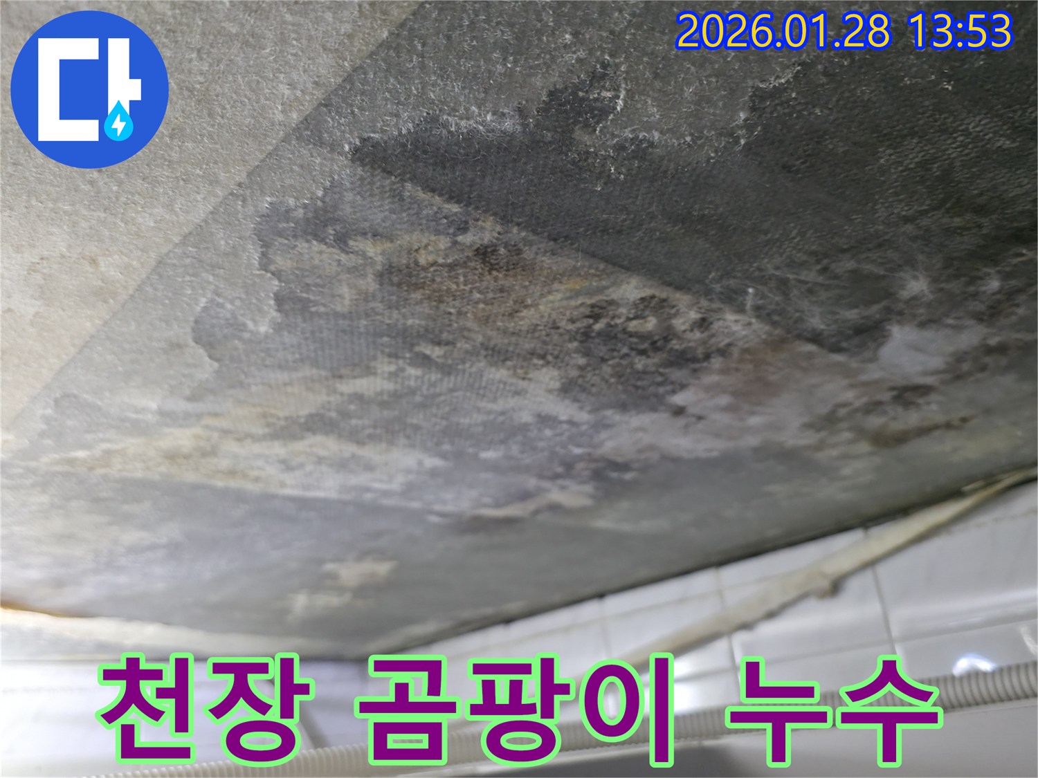 부천 중동 - 천장 곰팡이 - 누수 발생 현장
