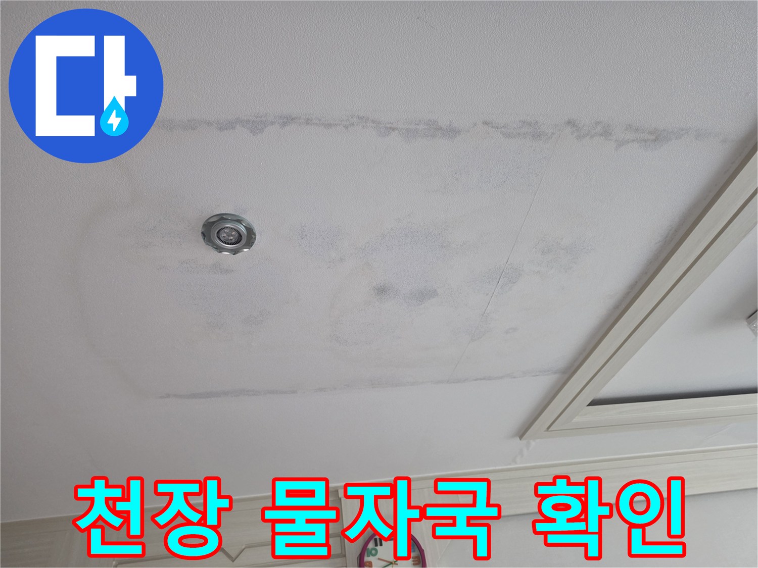 천장 면적을 차지하고 있는 넓은 범위의 누수 얼룩