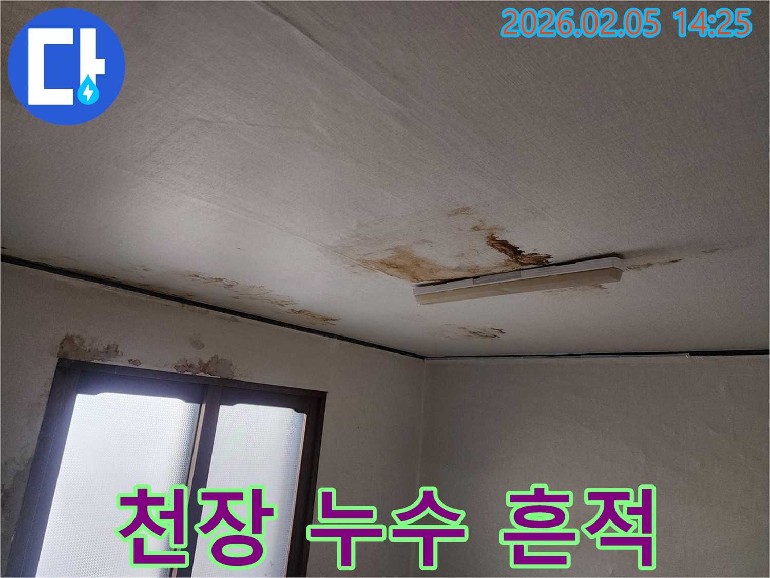 천장-누수로-인한-벽지-손상과-곰팡이-발생-현장-사진입니다