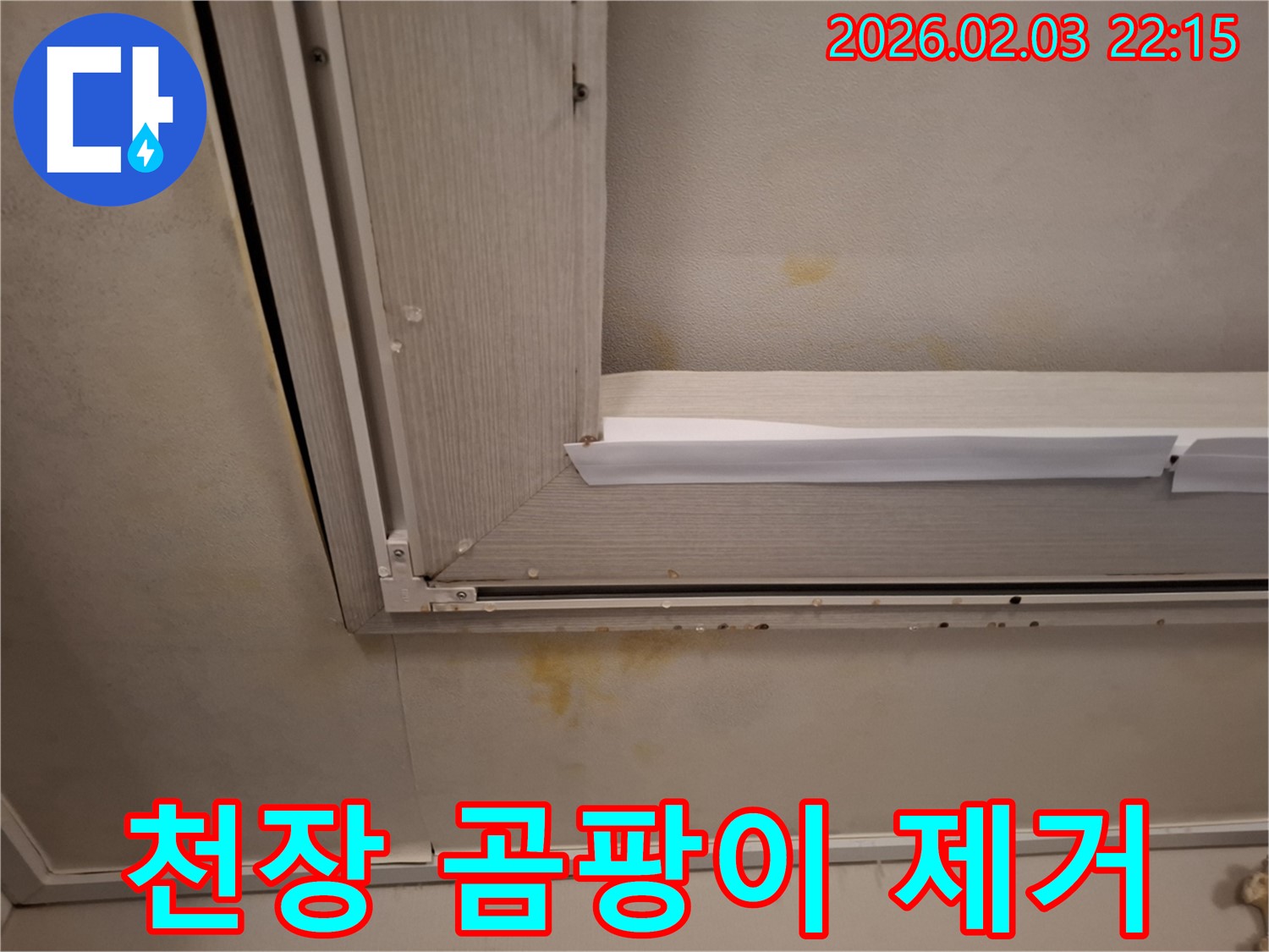 창문 누수로 인한 천장 석고보드 곰팡이 제거 - 곰팡이 제거와 누수 해결을 동시에!
