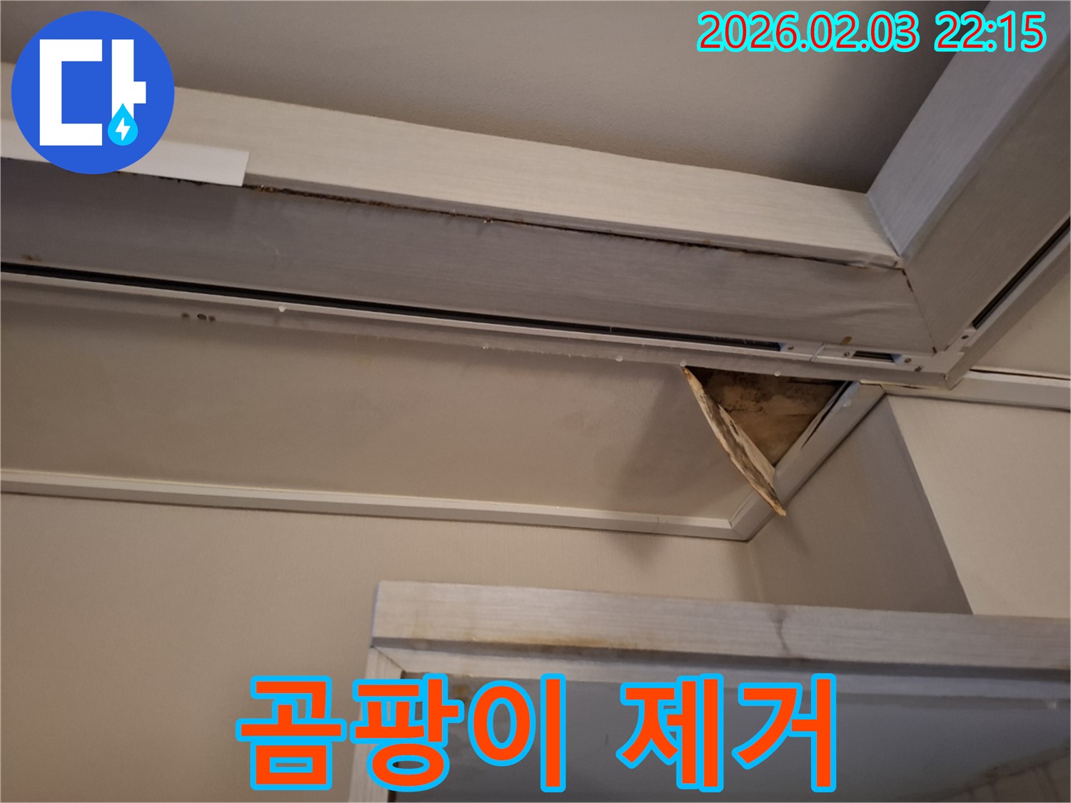 천장 곰팡이 제거 - 건강 위협 제거