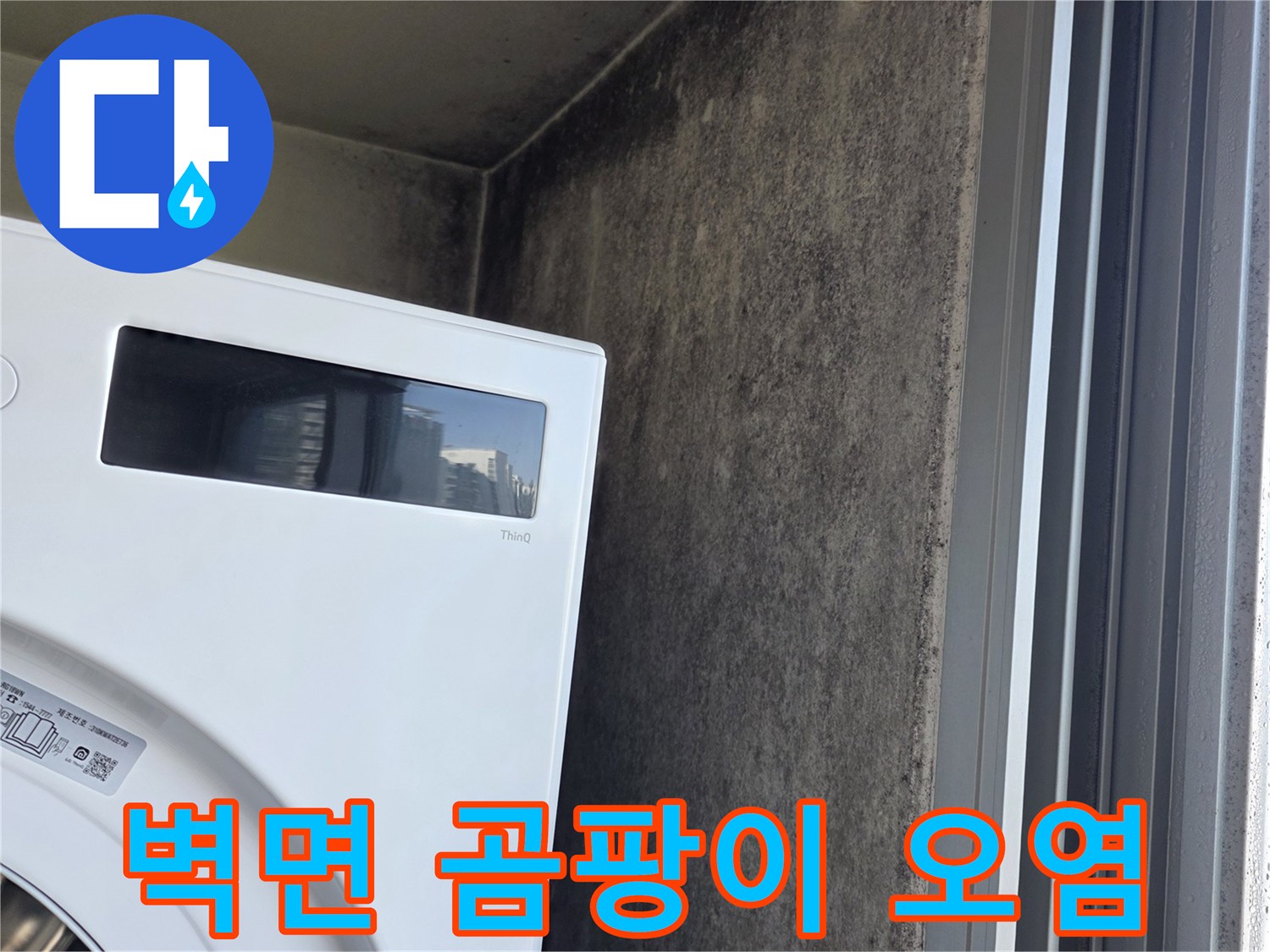 세탁실-배관-주변-벽면-곰팡이-상태