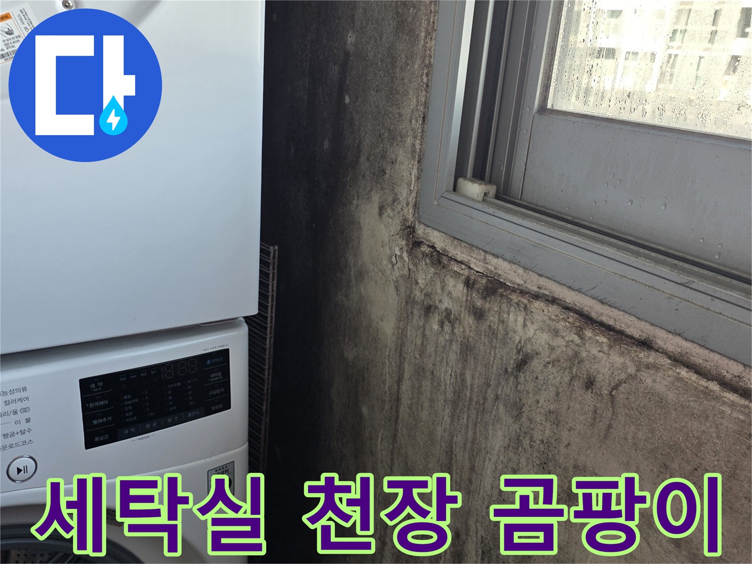 세탁실-천장 부근의 검은 곰팡이와 오염 상태