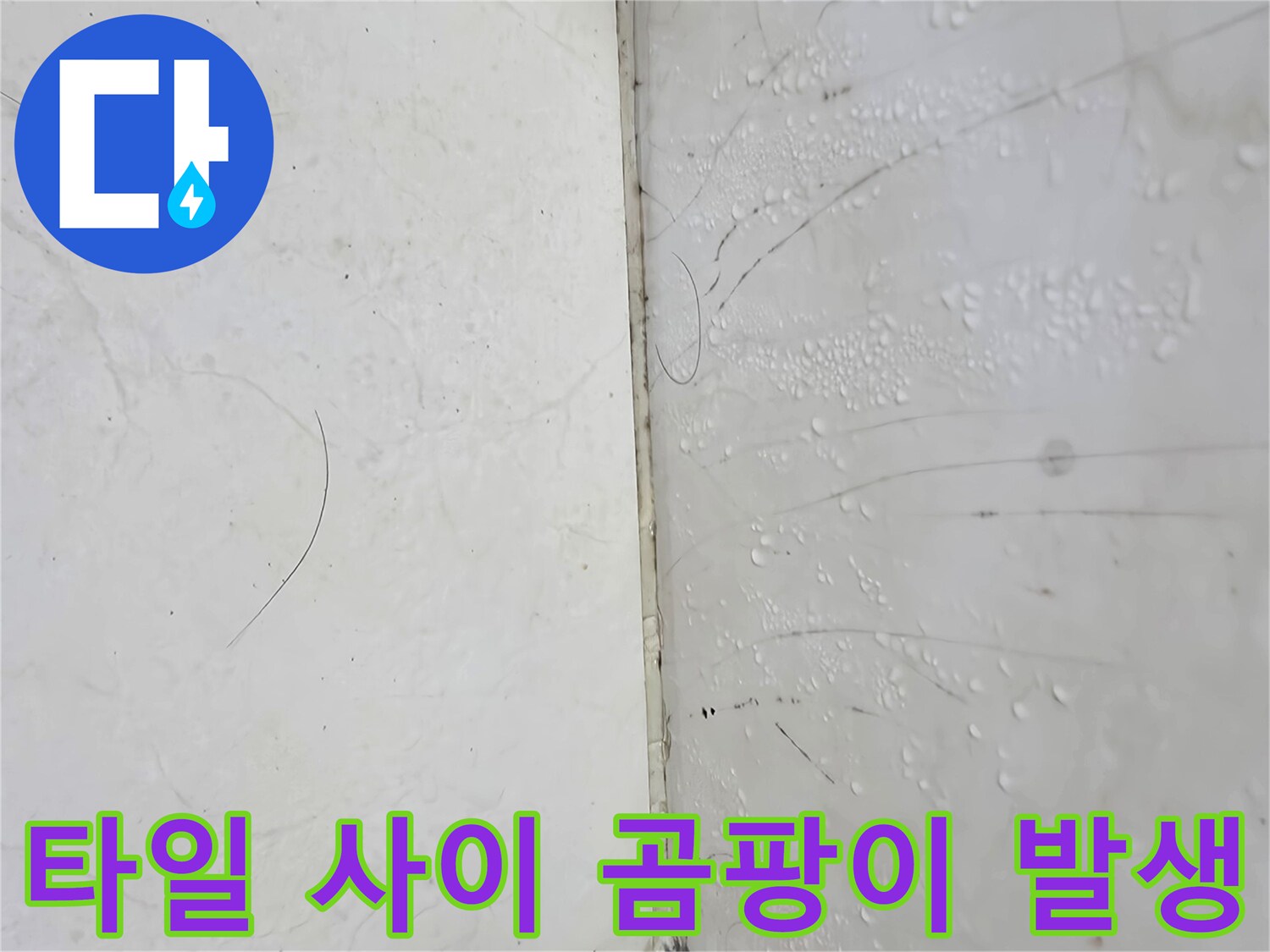 습기가 스며든 욕실 타일의 변색과 오염된 줄눈