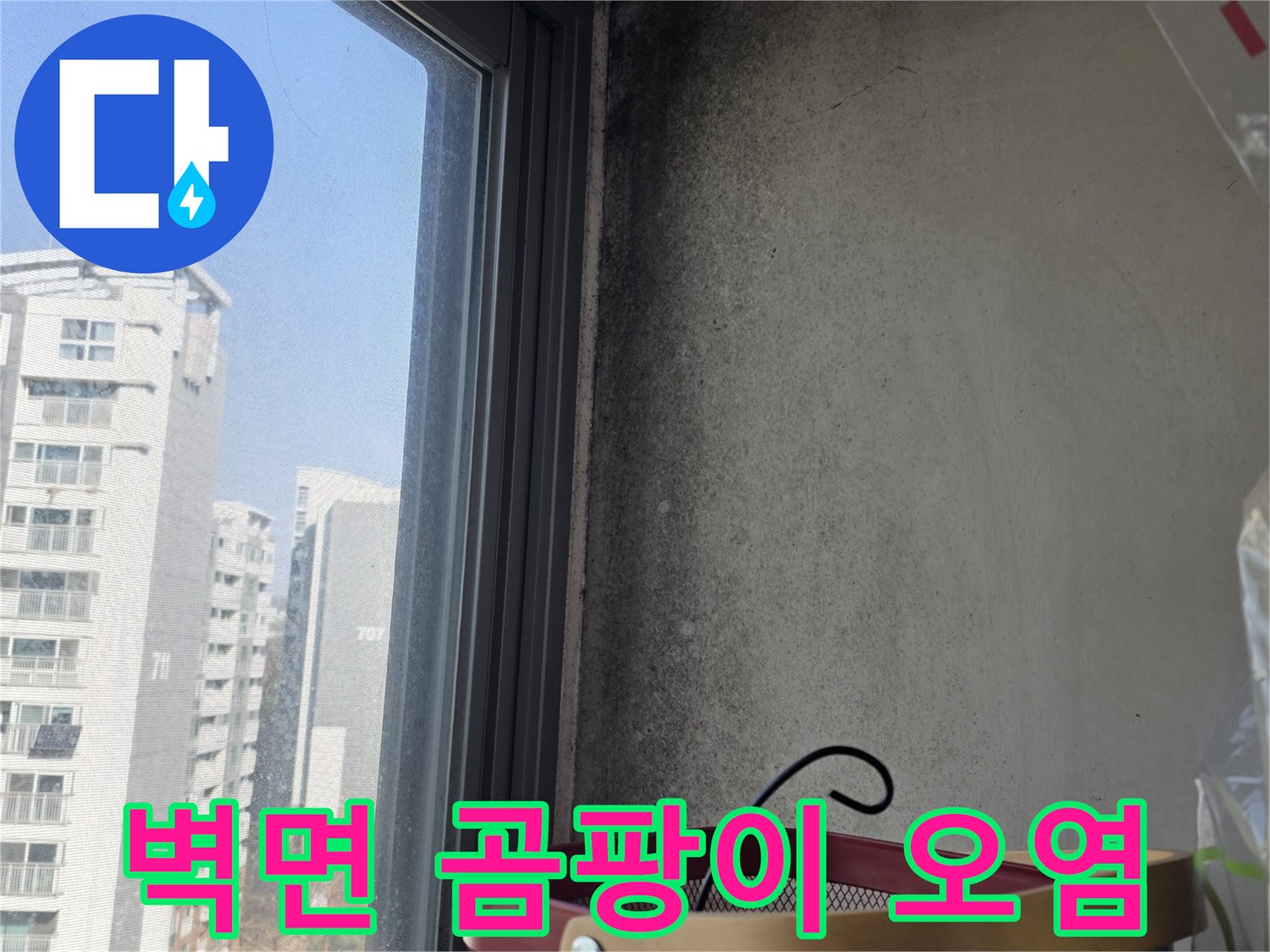 창문-프레임-하단-벽지-곰팡이-발생-현장