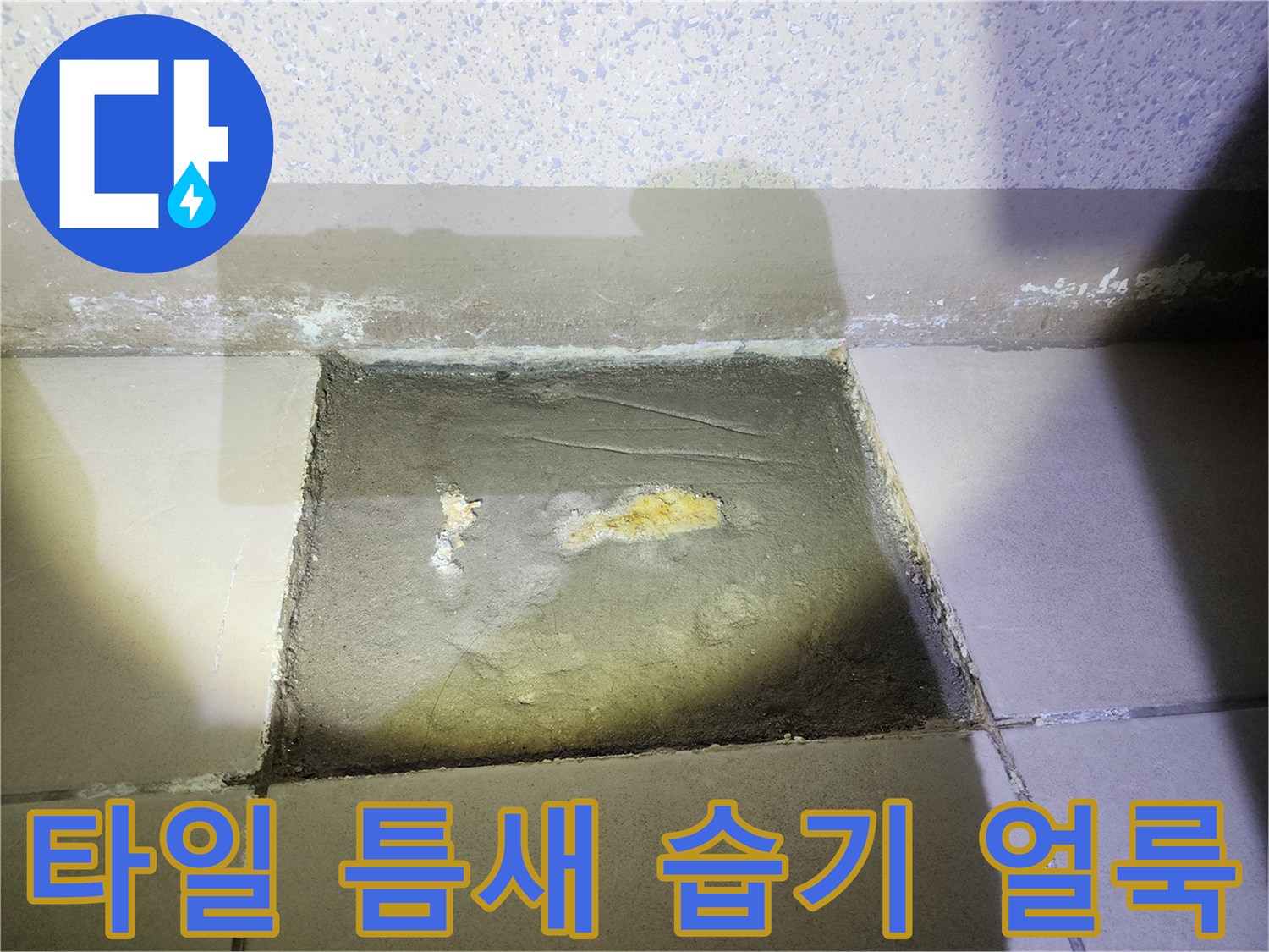 타일-줄눈-사이의-습한-변색-부위-상세