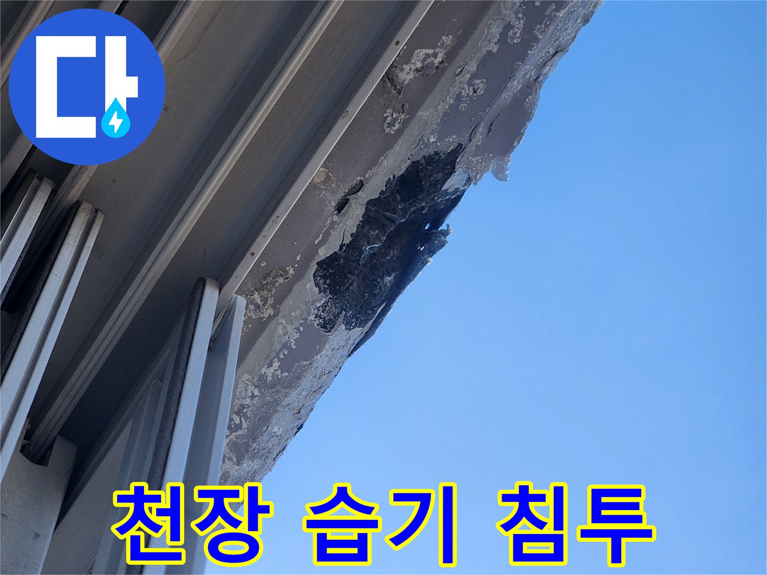천장-틈새-주변의-젖은-흔적과-얼룩