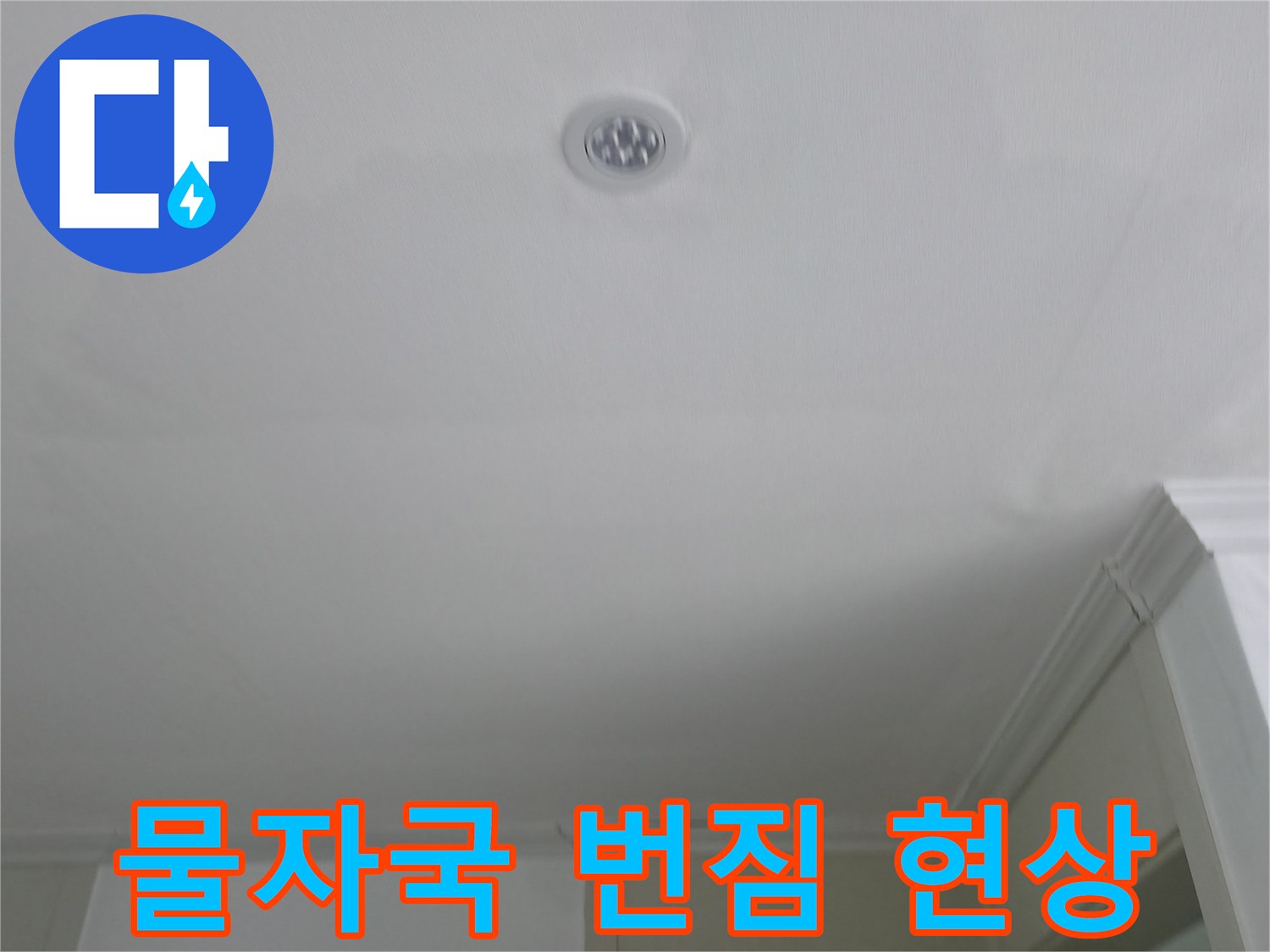 천장 마감재에 나타난 넓은 수분 흔적
