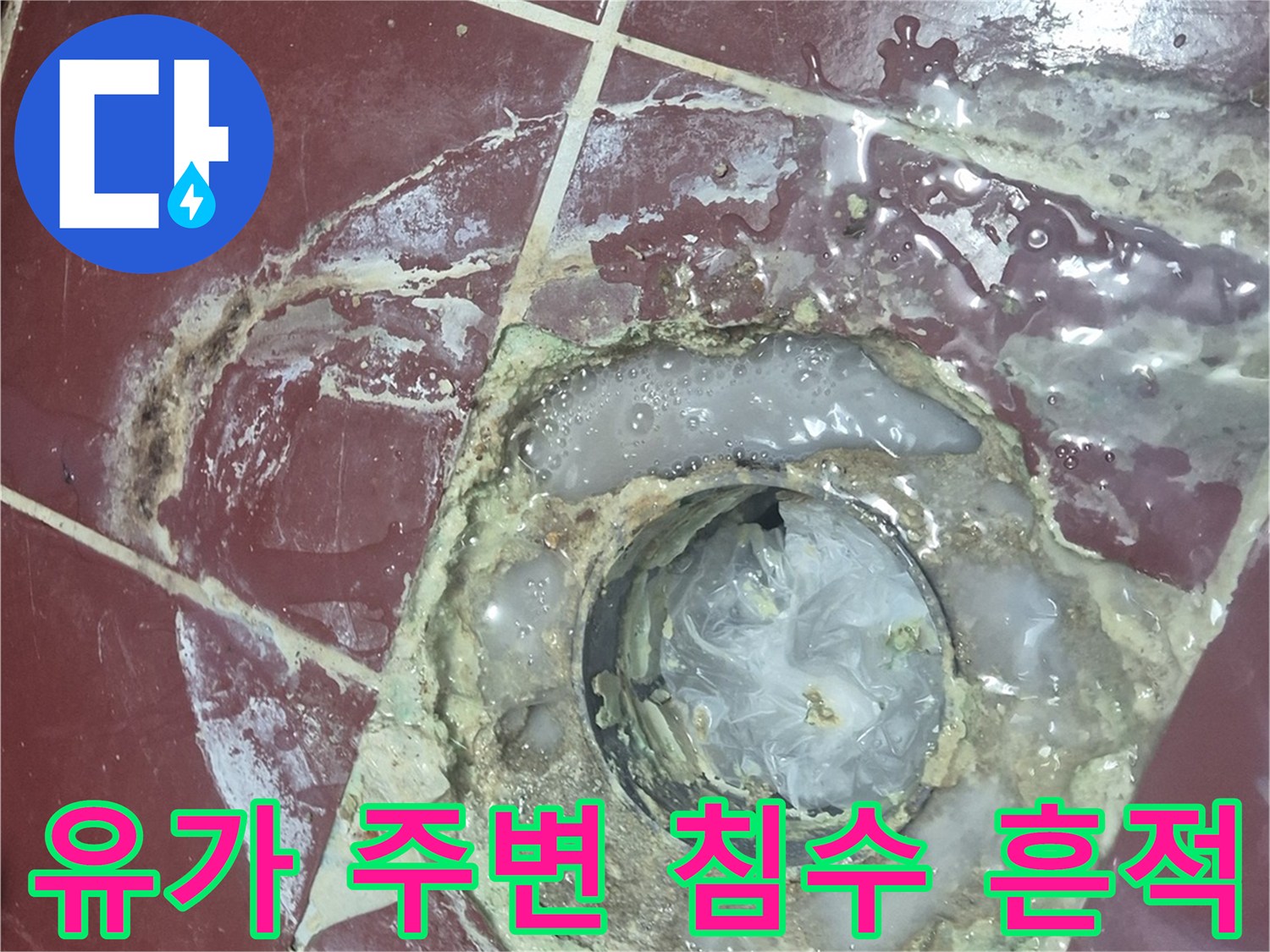 백석읍 현장의 젖은 배수구와 오염된 타일 사이