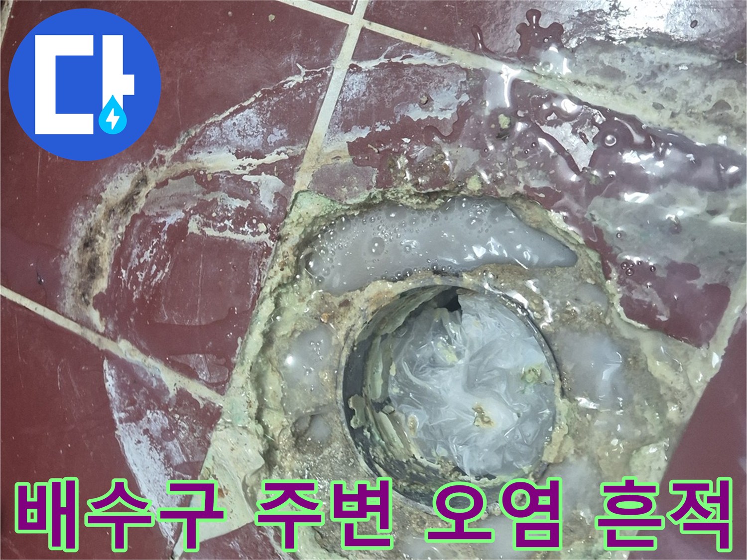 양주 백석읍-오염된 화장실 배수구 입구 모습