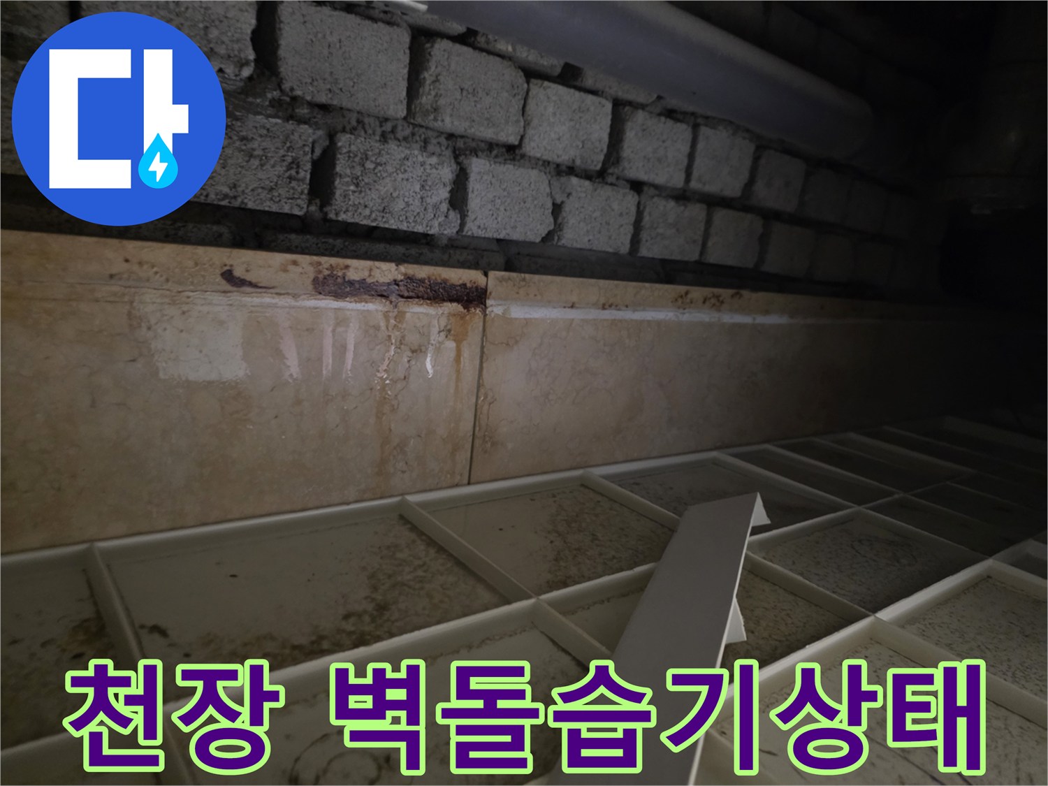 누수가-발생한-화장실-천장-벽돌-사이의-습기