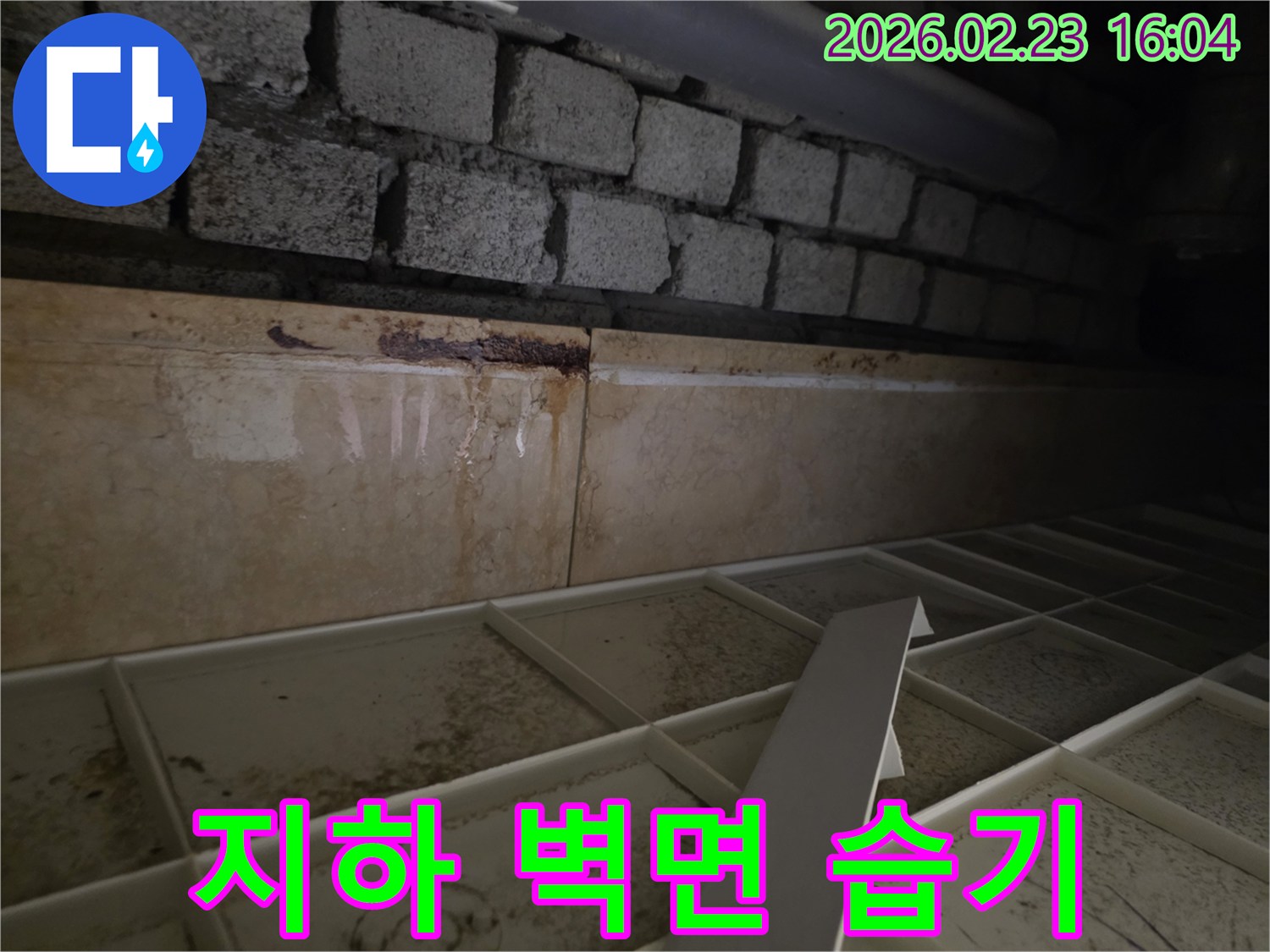 빌라 지하 벽면 타일의-오래된 누수로 인한-습기와 곰팡이 흔적