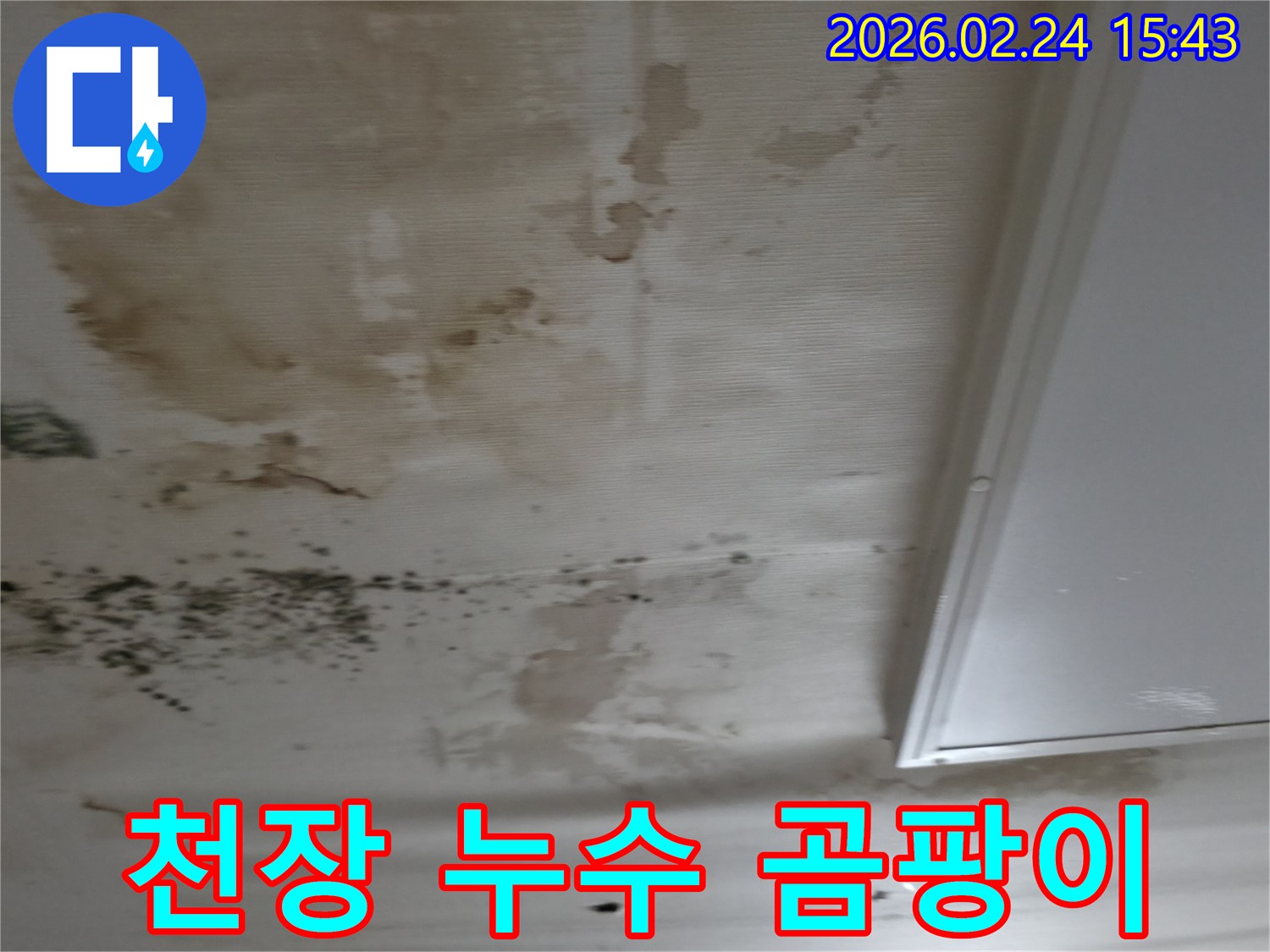 천장 누수로 인해 발생한 심각한 곰팡이와-물얼룩으로-오염된-벽지 모습