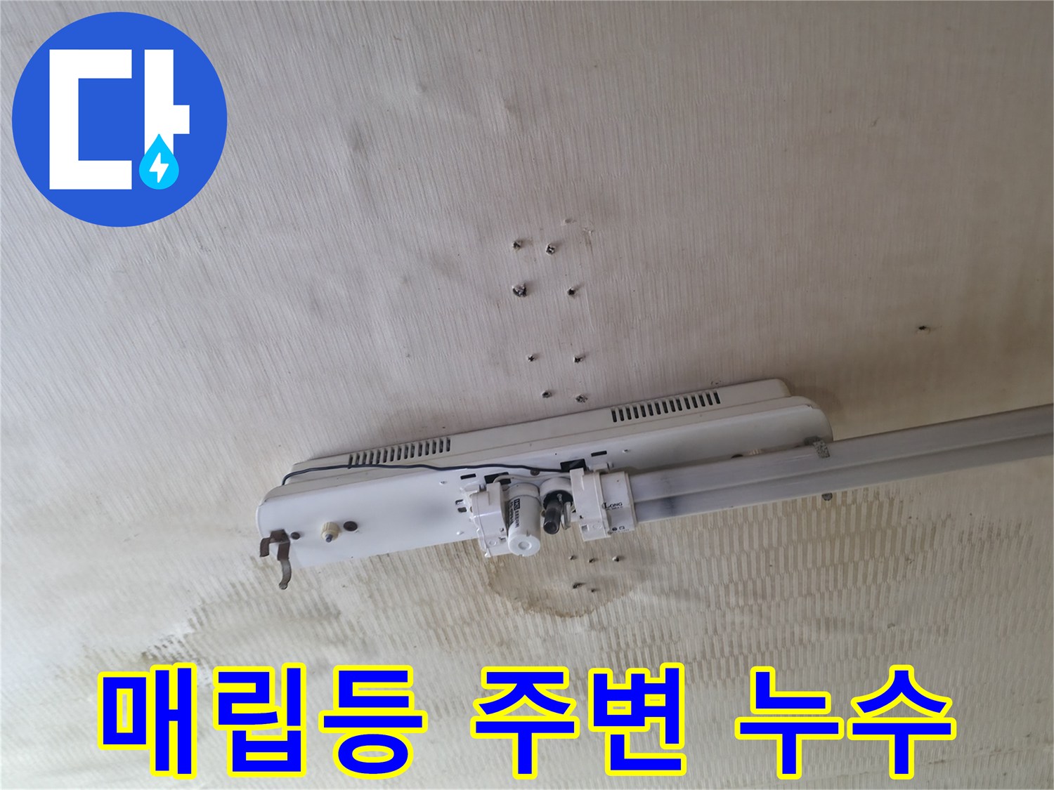 천장 매립등 주변부-물샘으로 인한 천장지 변색과 젖음 현상
