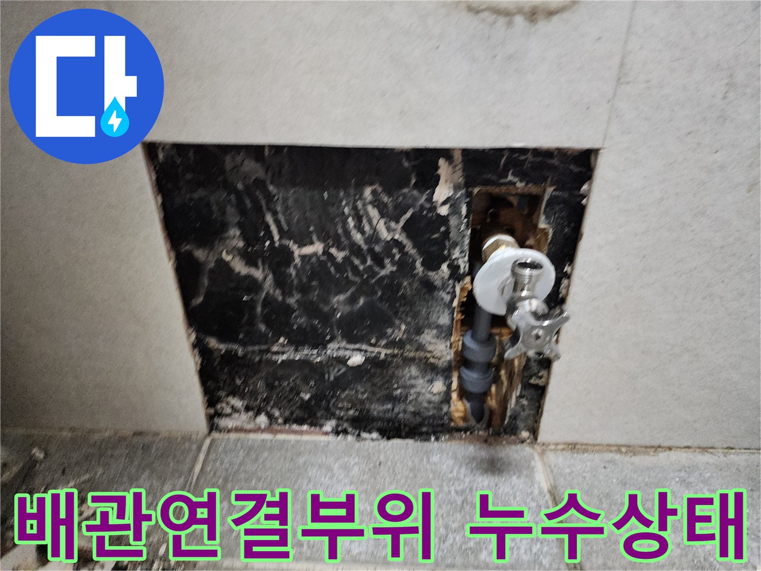 세면대 하단 배관-벽체 내부 곰팡이 현황