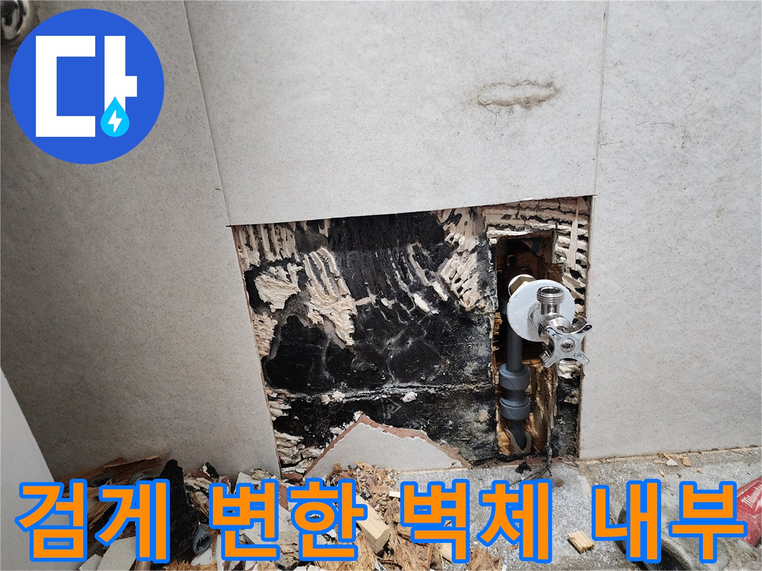 화장실 타일 제거 후 드러난 검은 곰팡이와 습기 찬 벽면